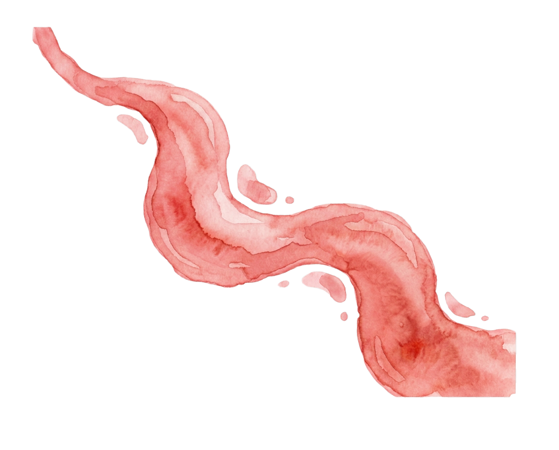 A watercolor illustration of a stream of  watermelon shaved ice syrup