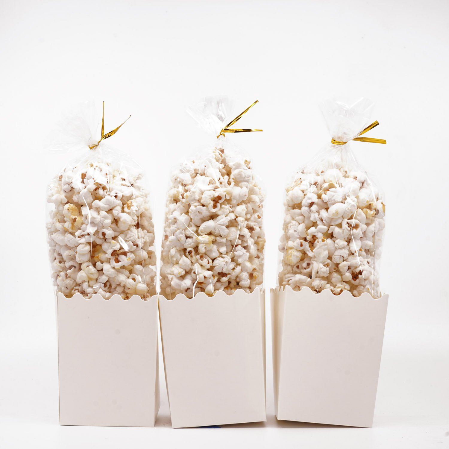 in-box-popcorn-kettle-corn-favors-no-label.jpg