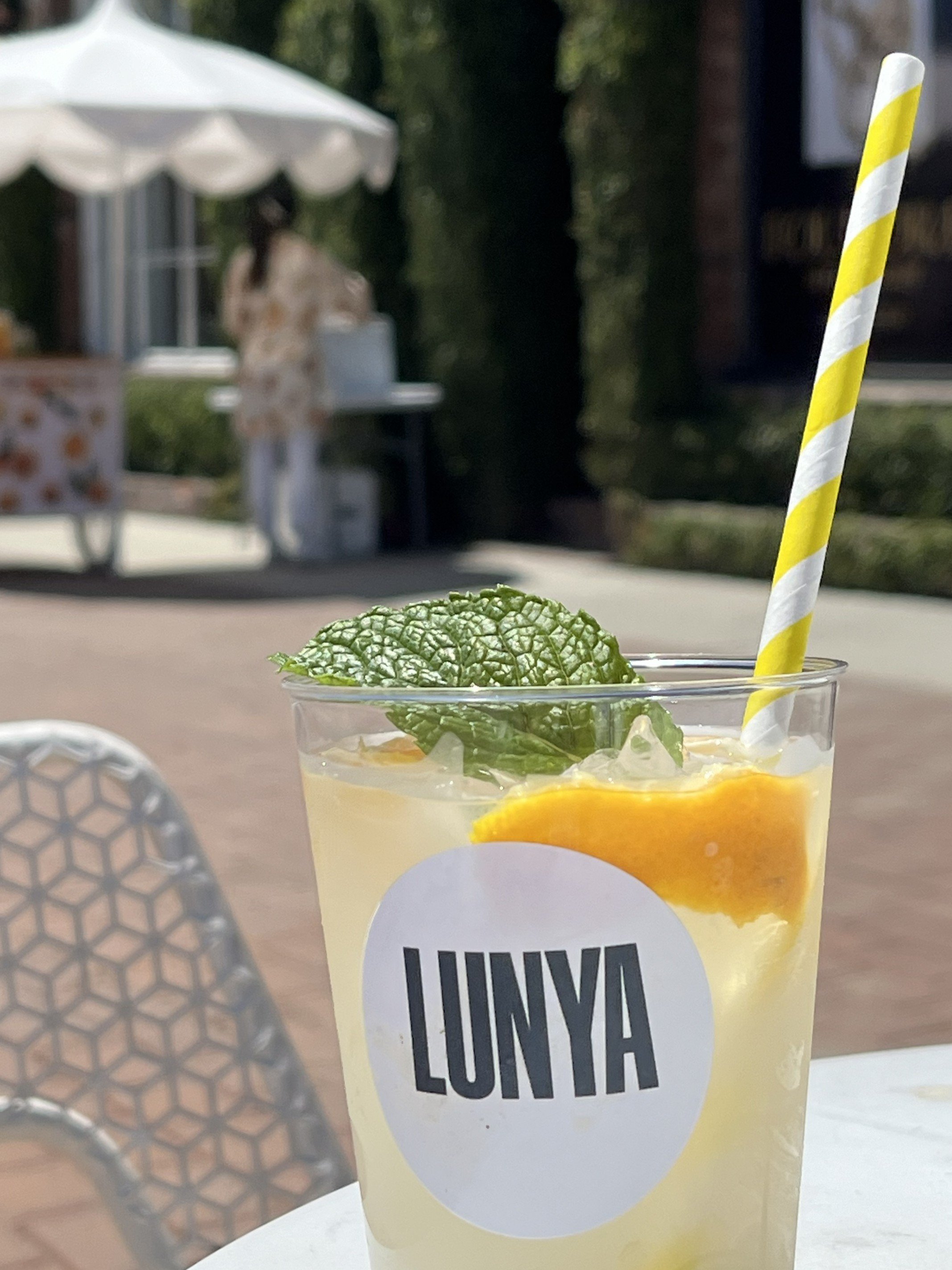 close up of a lemonade cup with a mint leaf sticking out
