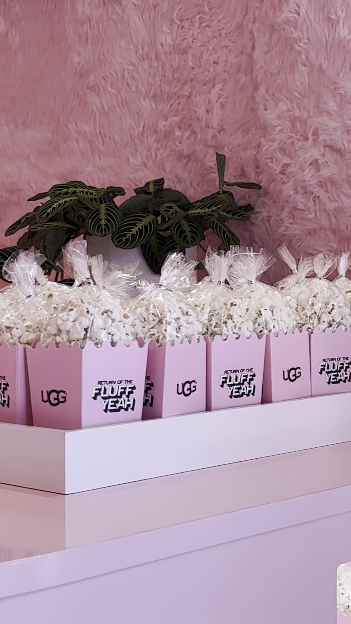 take-home-popcorn-favors.png