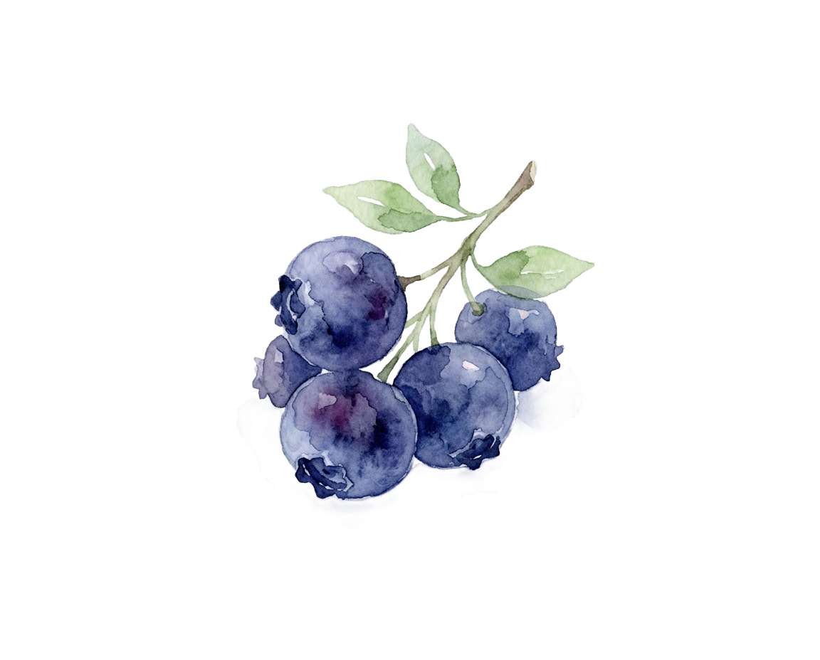 a bundle of blueberries