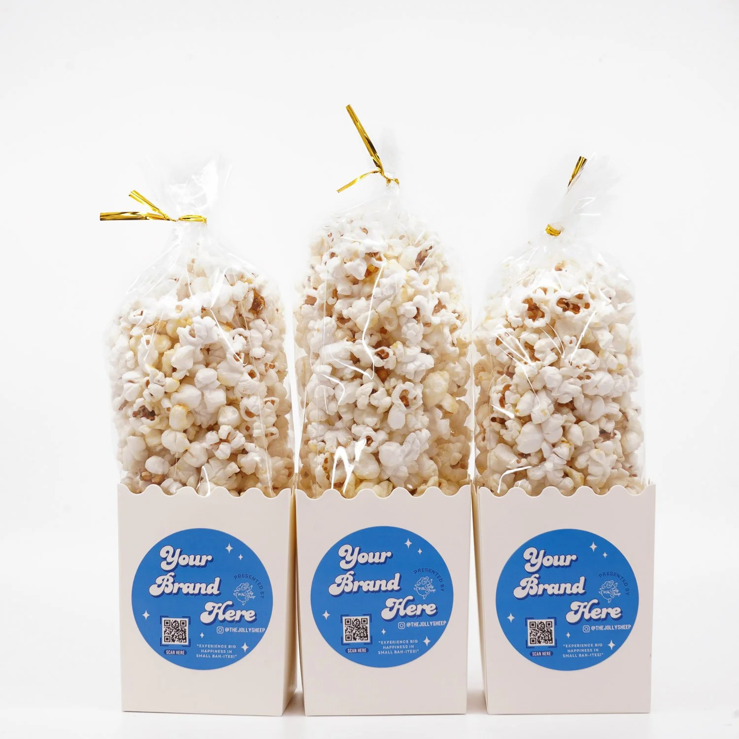 in-box-popcorn-kettle-corn-favors.jpg