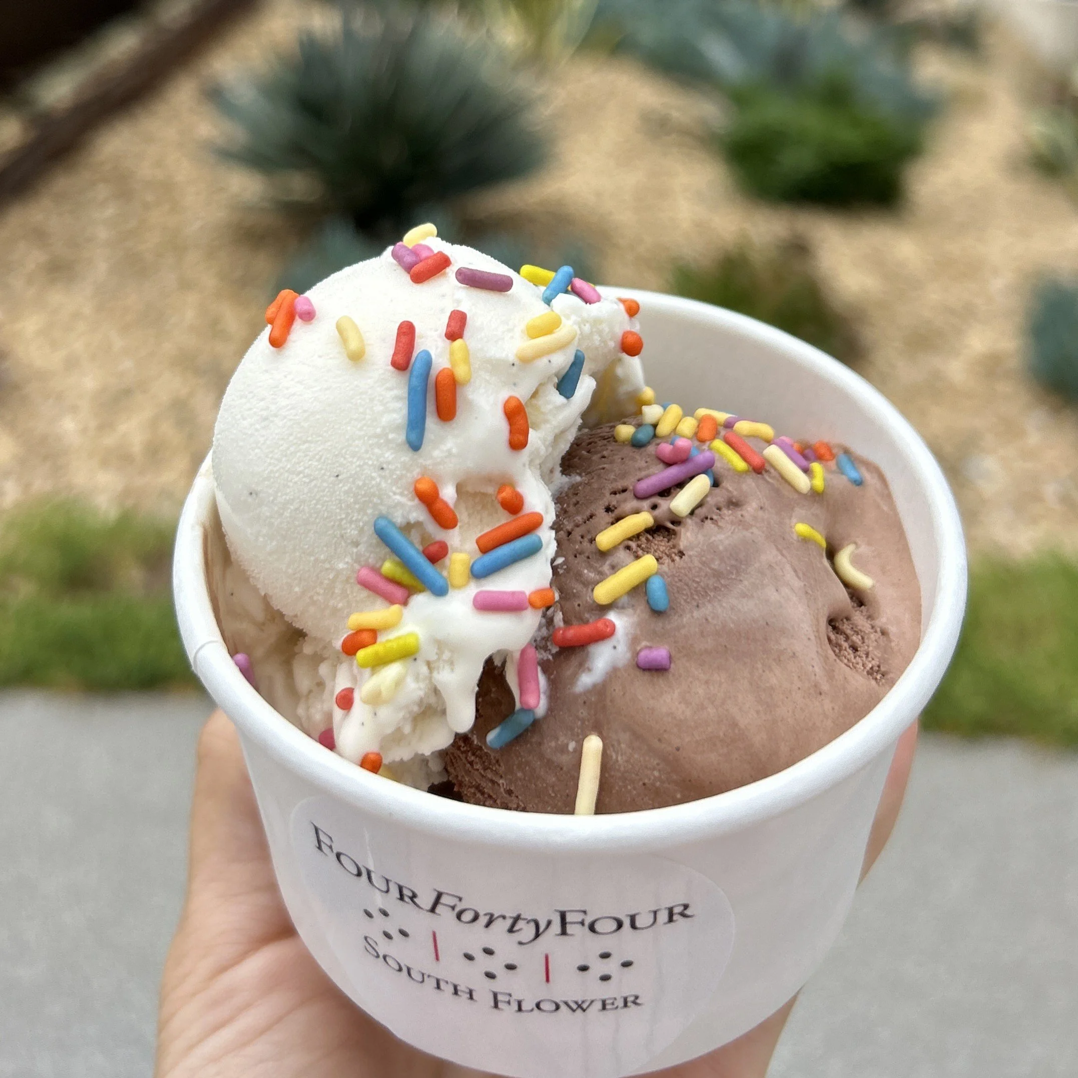 A cup of vanilla and chocolate gelato with colorful sprinkle topping