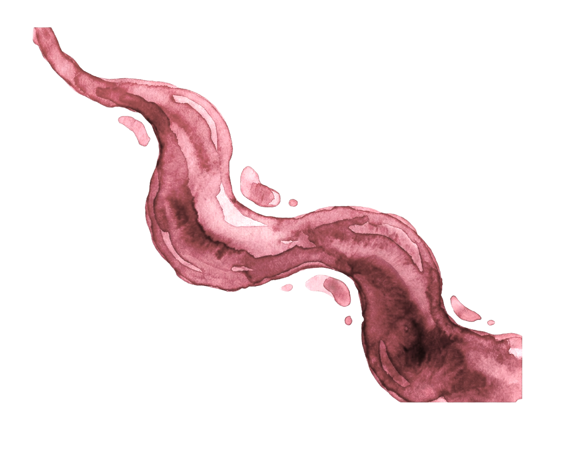 Watercolor illustration depicting a flow of strawberry syrup for shaved ice