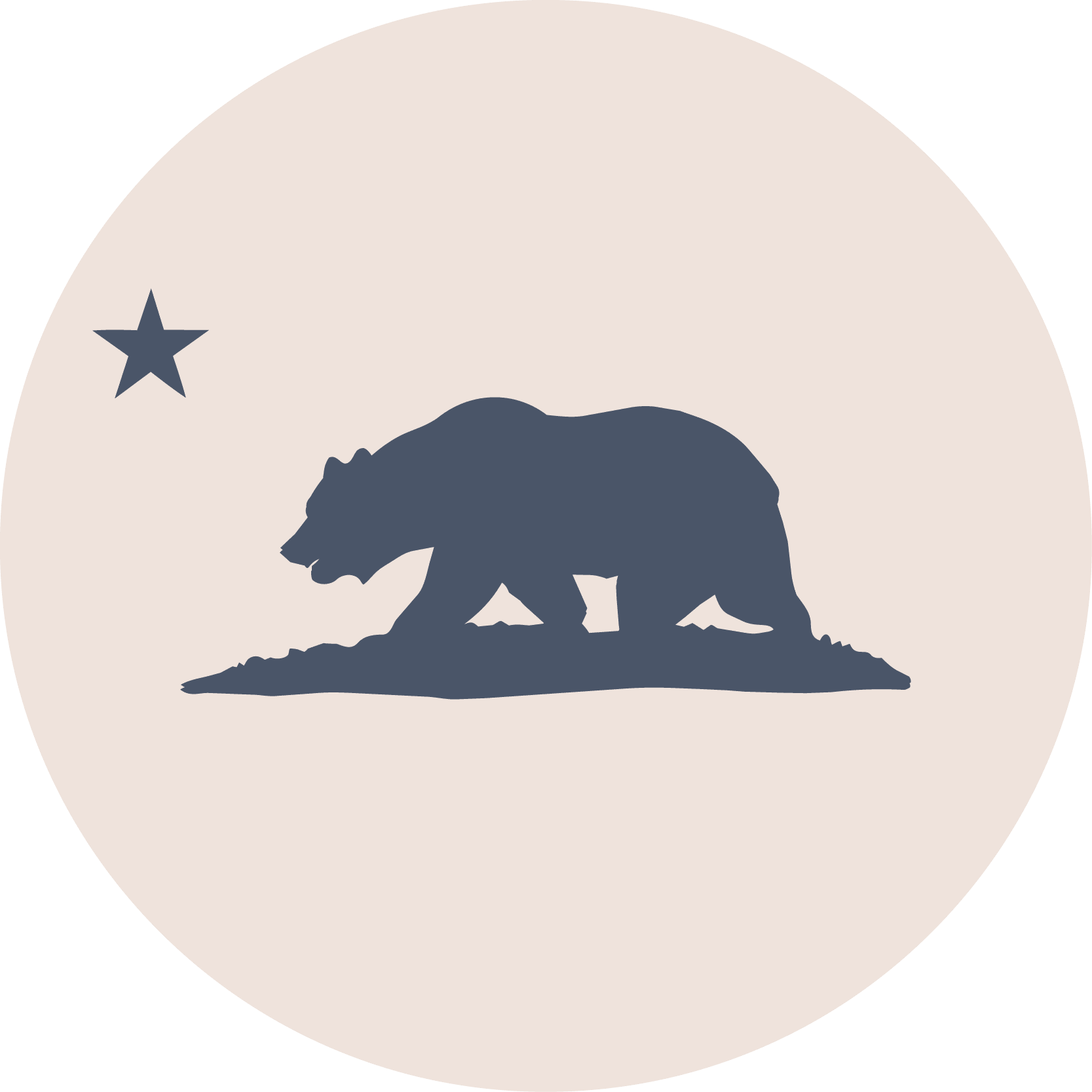 A badge with the California flag emblem.