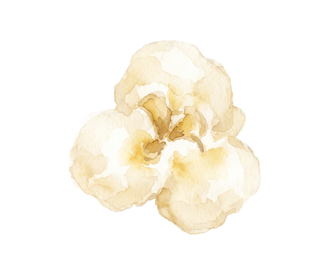 A popcorn kernel