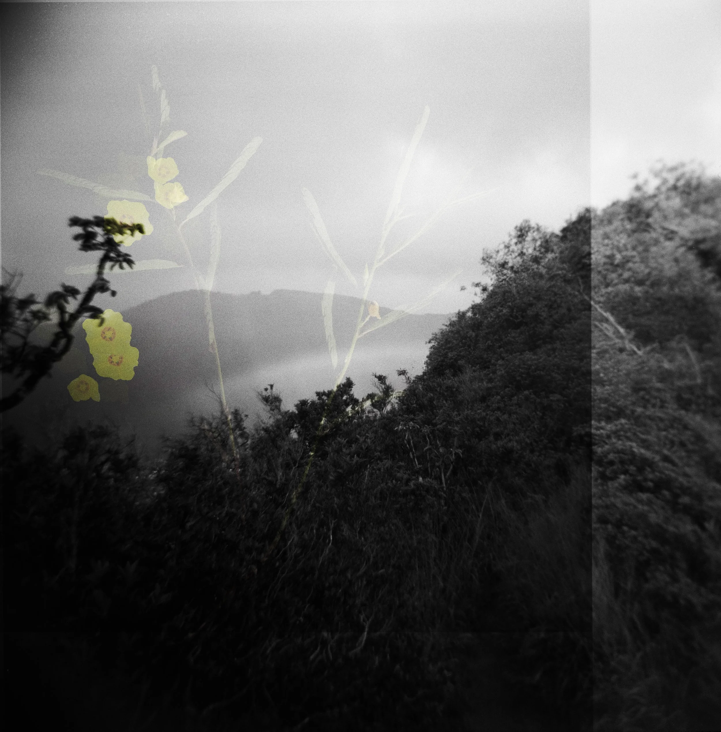 Where the Land Heals, December 26, 2025