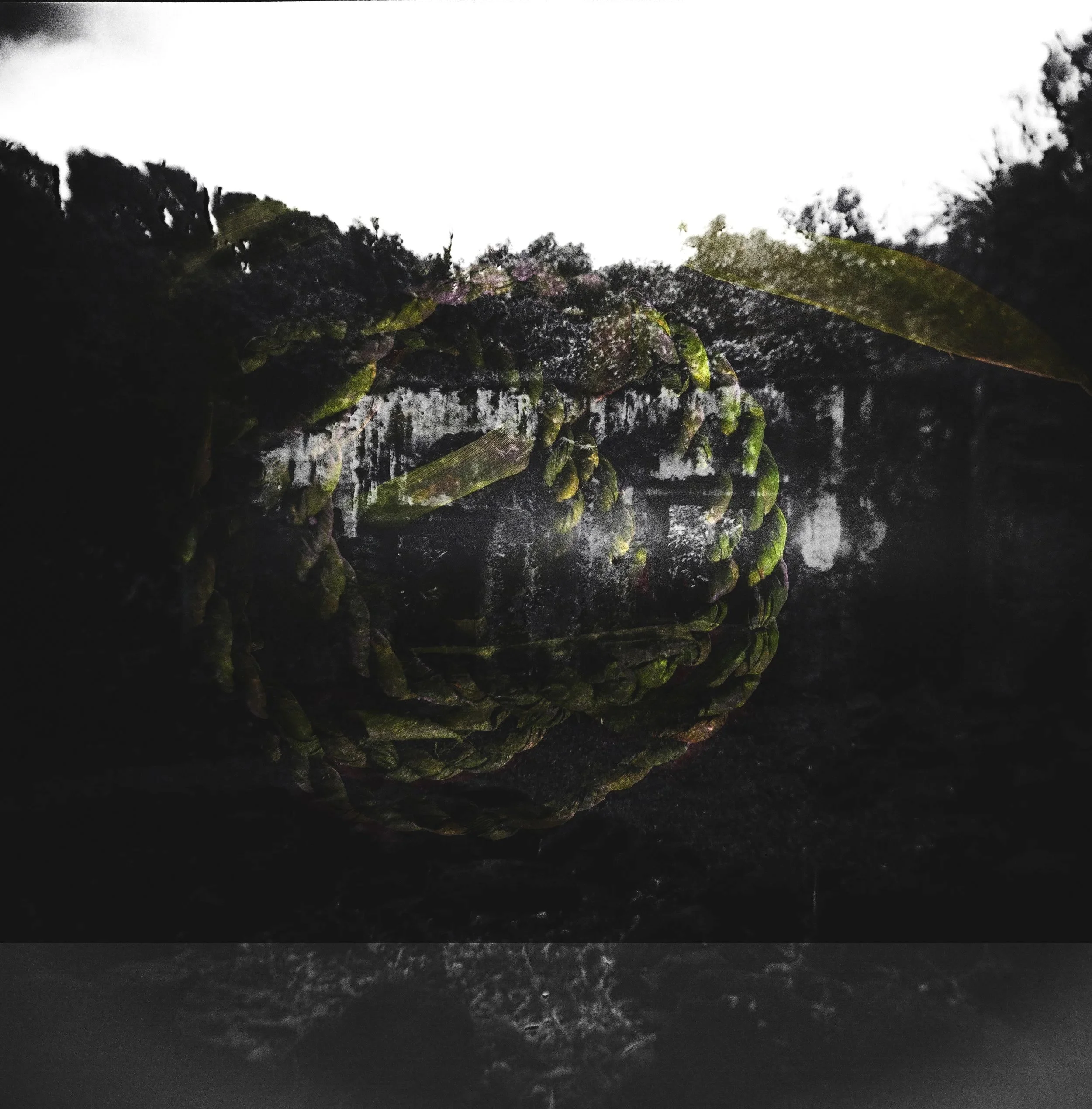 Kaniakapūpū, February 14, 2026