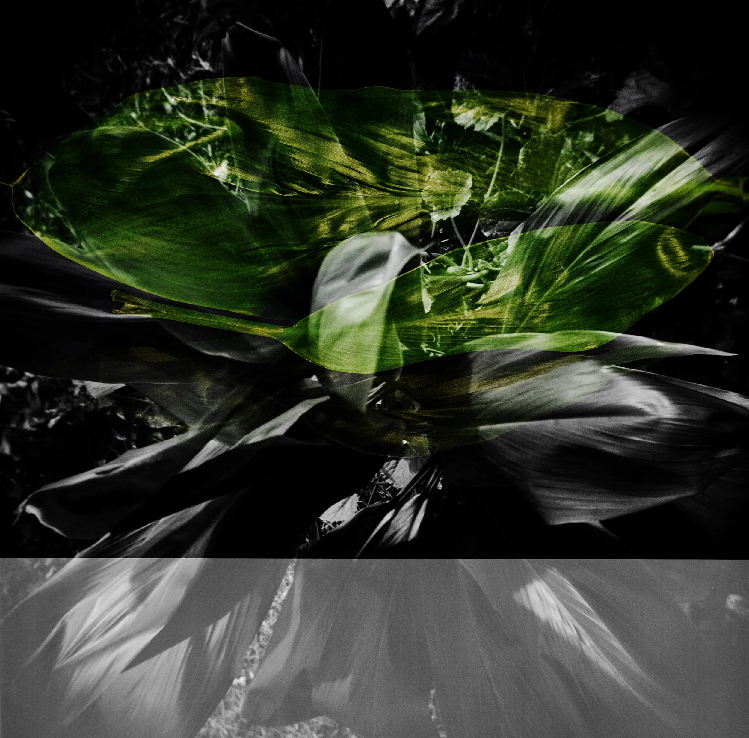 Echoes of Lā’ī, November 10, 2025