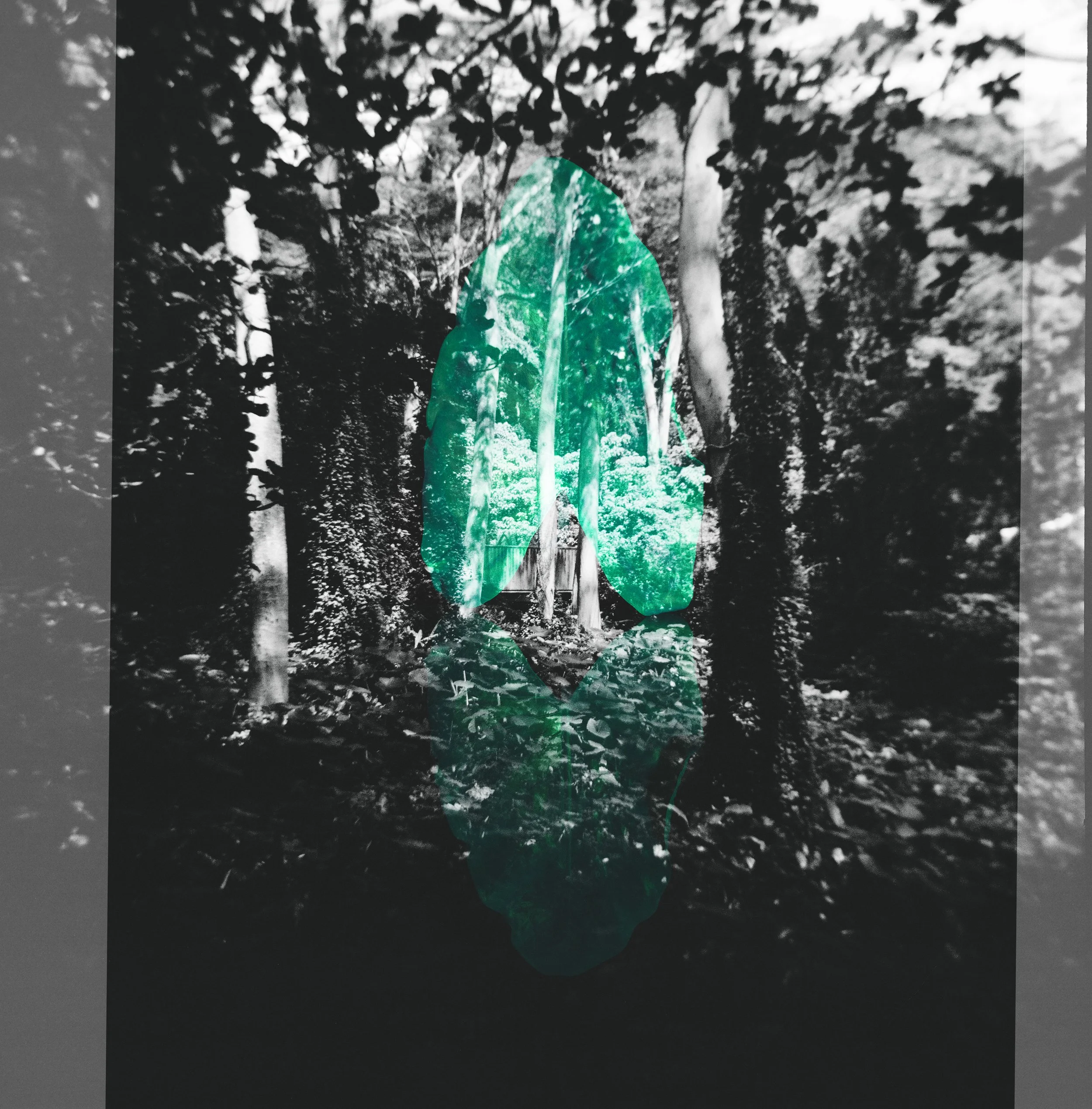 Kalo Memory, February 28, 2026