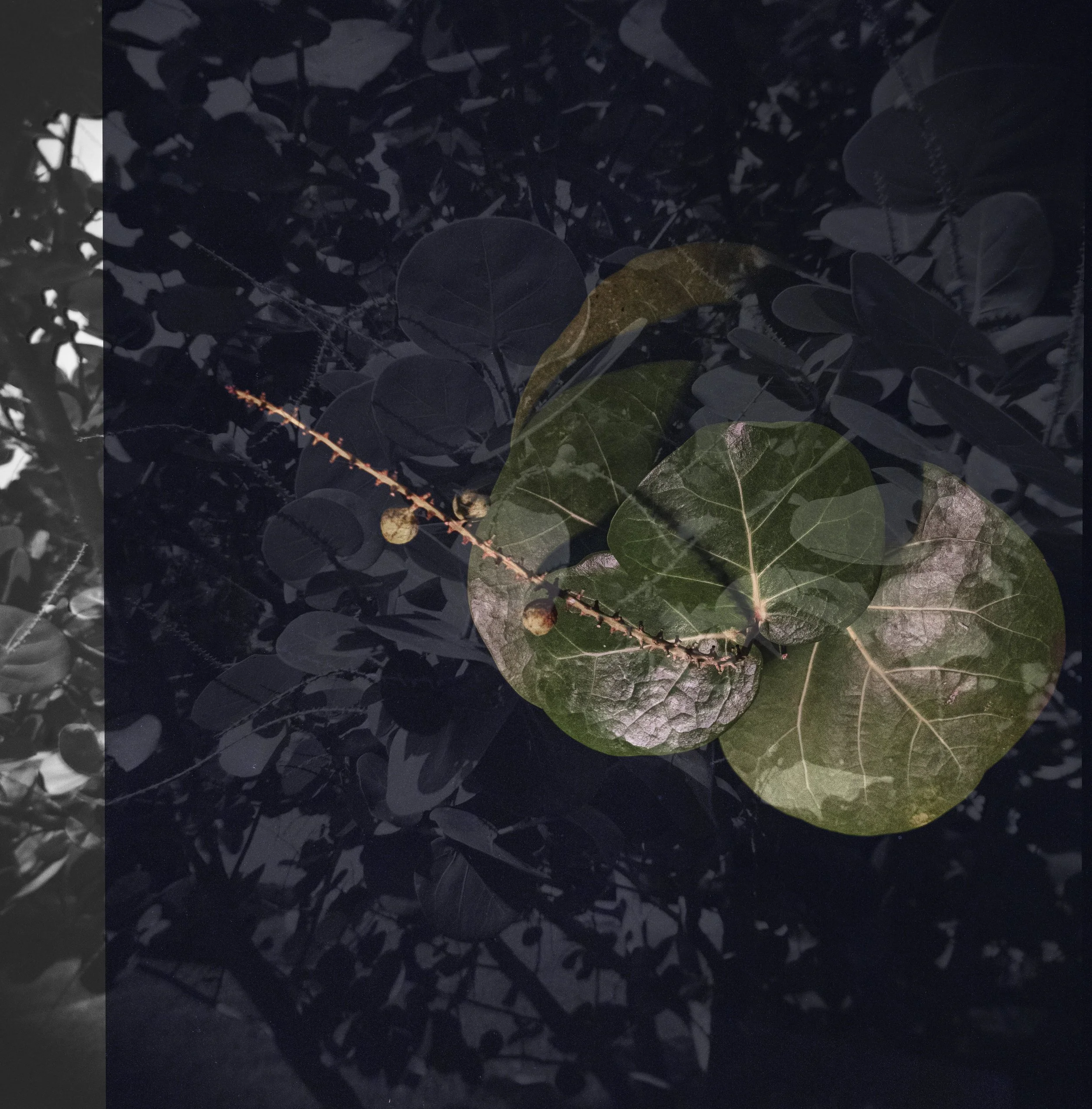 Where the Sea Holds Memory, February 20, 2026