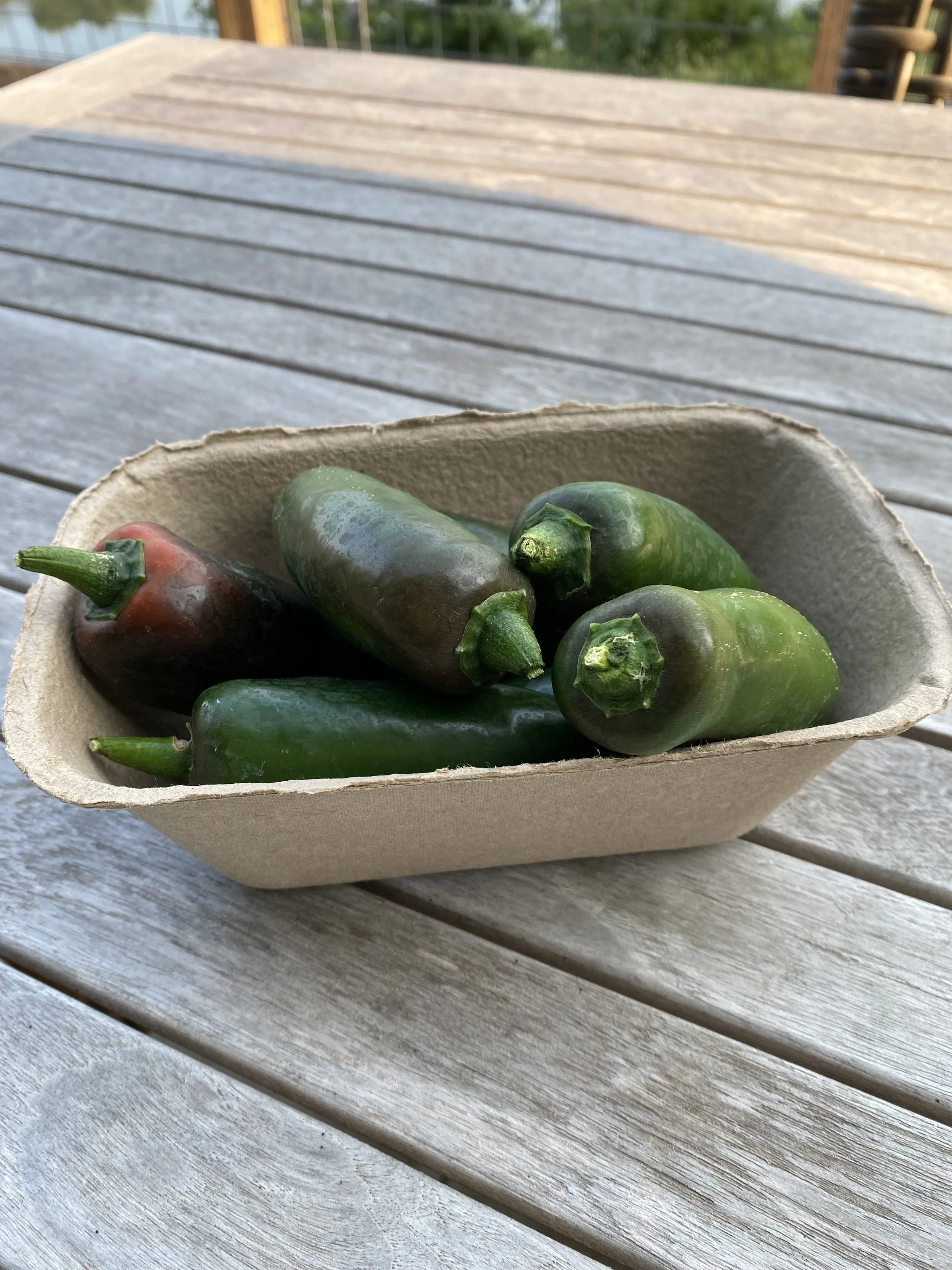 HHF Fresh Peppers