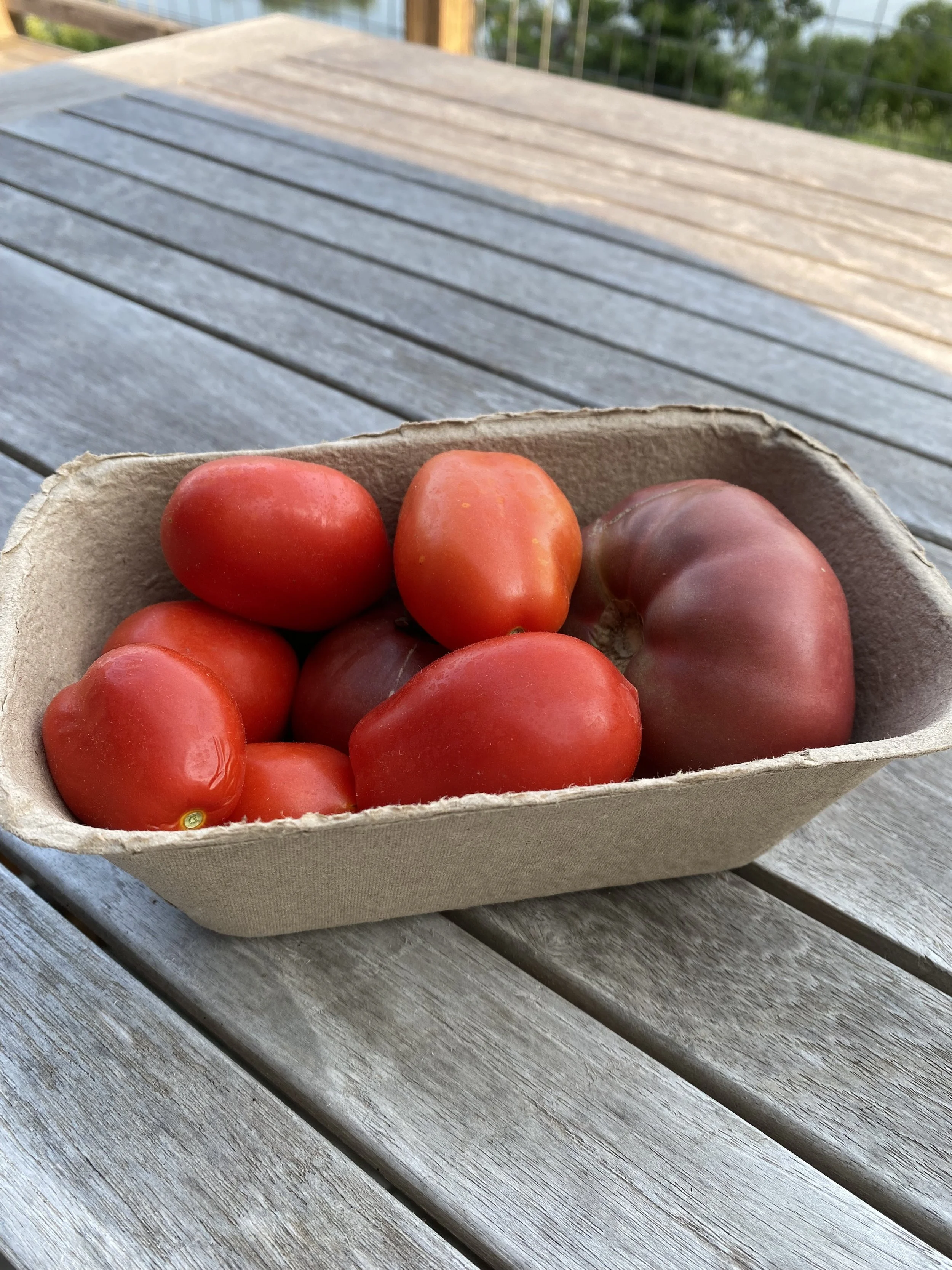 Tomatoes