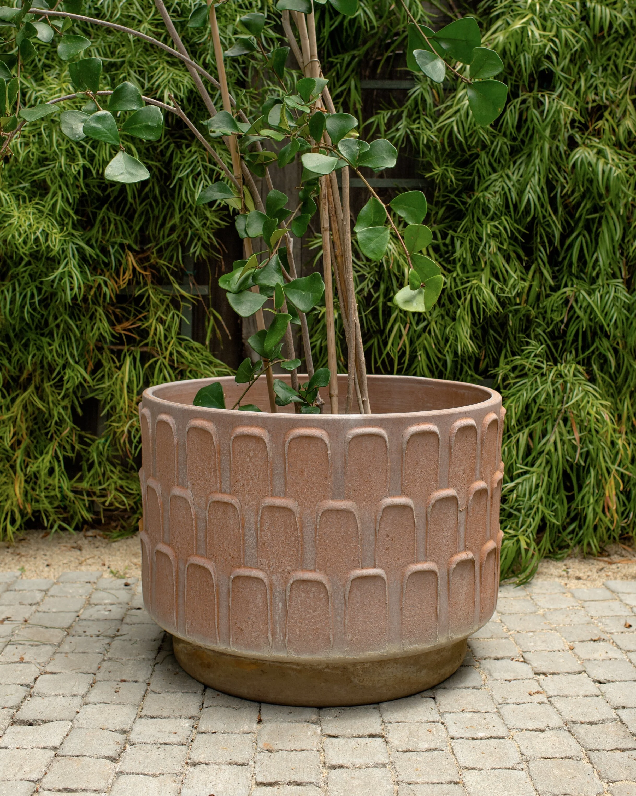 David Cressey Leaf Planter XL