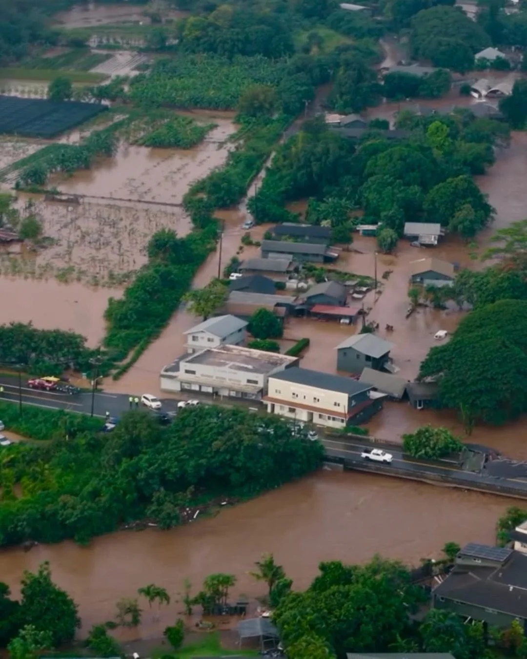 We&rsquo;re sharing this because the North Shore community needs support right now. 💙

Severe flooding from the Kona Low storm has caused widespread damage. Homes, land, and livelihoods have been impacted, and the situation is still ongoing.

Changi