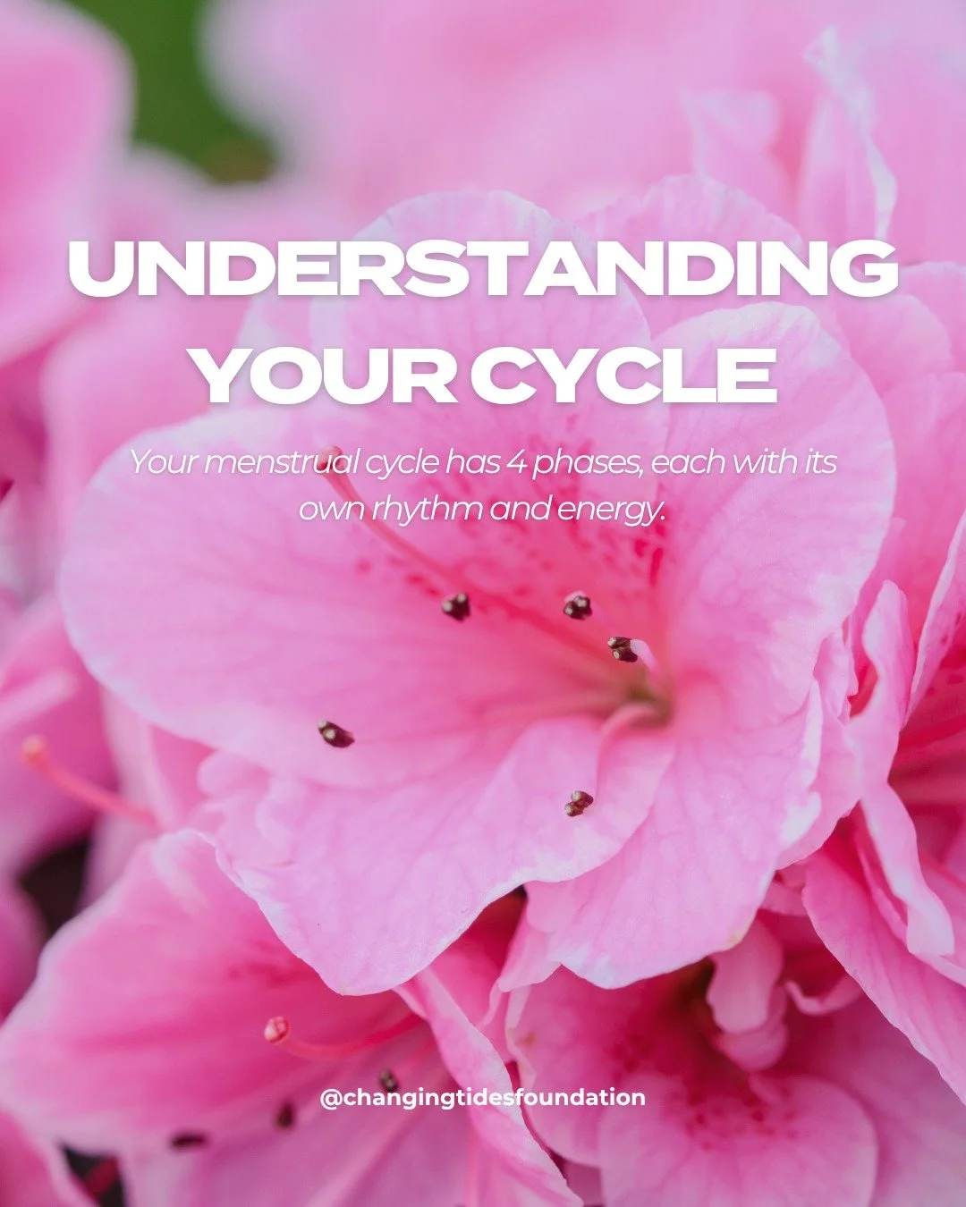 Your period isn&rsquo;t just a few days, it&rsquo;s a full cycle.  This means energy, creativity, and self-discovery 🌙✨

From resting during your period, to riding a wave of focus in your follicular phase, to shining socially in ovulation, and slowi