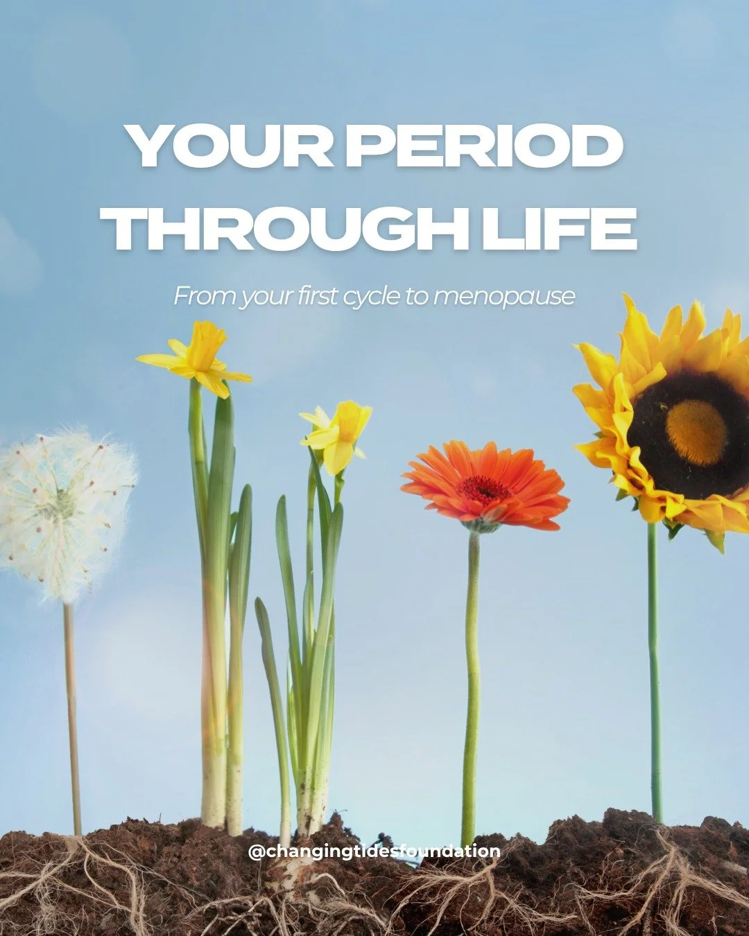 From your very first period to menopause, your cycle tells the story of your body 🌙.

Every stage brings its own changes, surprises, and superpowers&mdash;whether it&rsquo;s learning your rhythm as a teen, thriving in your reproductive years, naviga