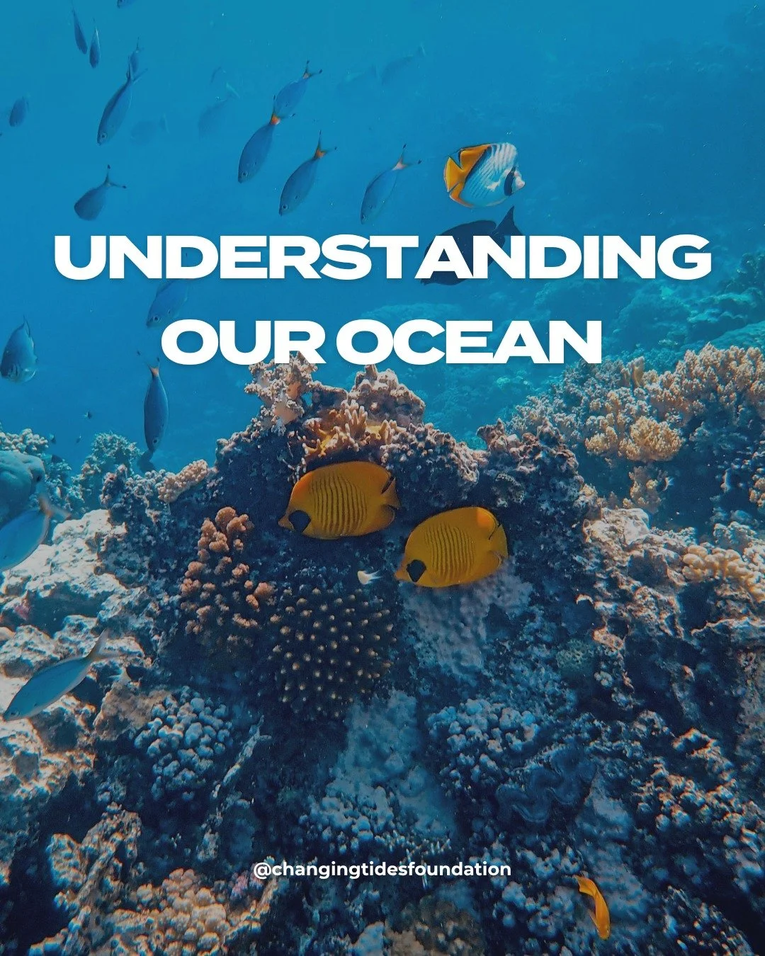 The more we understand the ocean, the more we understand our place in it.
From tides to marine life, everything is connected. What happens in one part of the world doesn&rsquo;t stay there. It moves, shifts, and impacts something else.

When we take 
