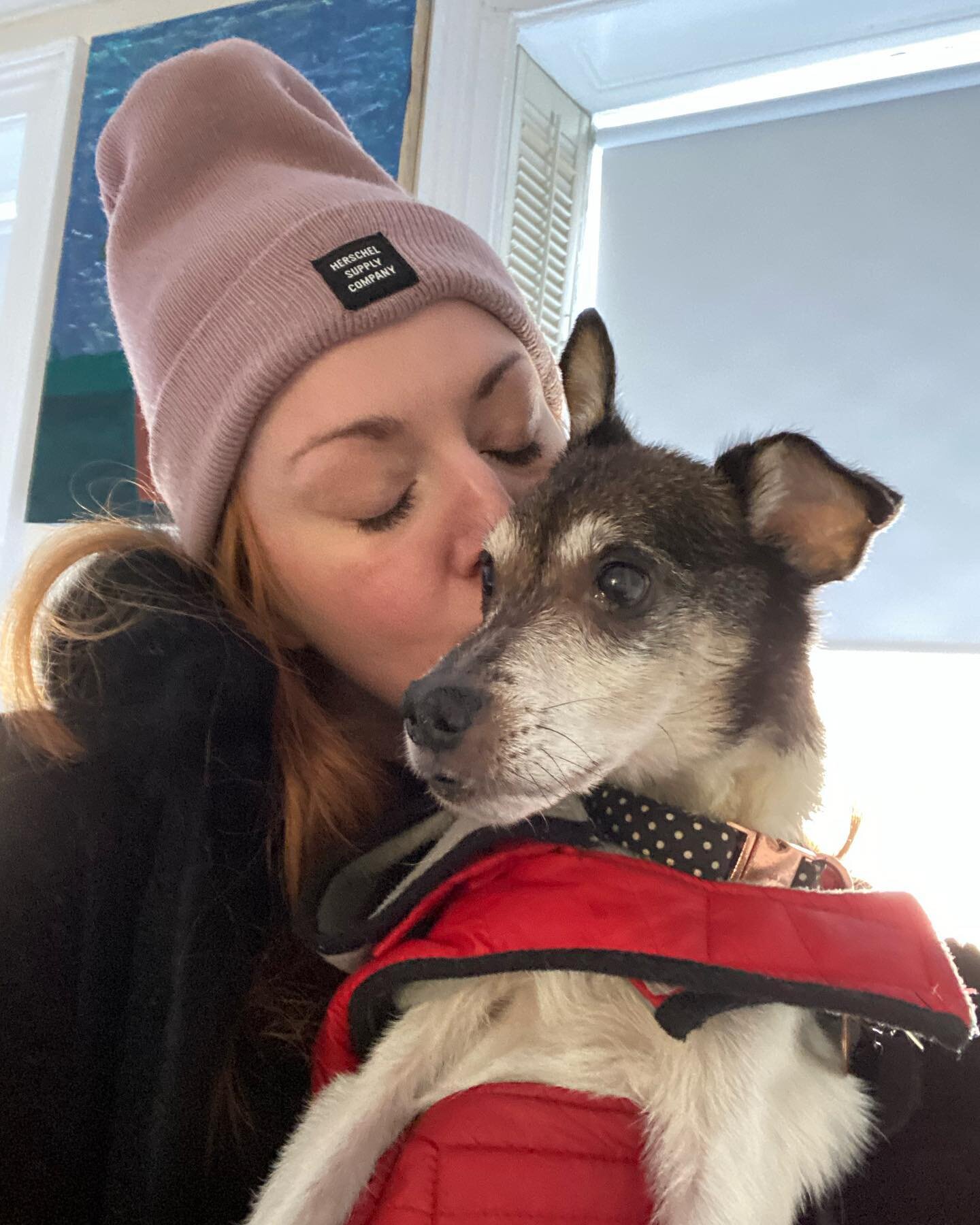 (3/3) His final days were as perfect and full of joy as I could have hoped for: a final trip to Love Thy Pet, morning walks through leaf piles, afternoon stroller rides, an endless amount of treats, and evenings snoozing in a sea of cozy beds and bla
