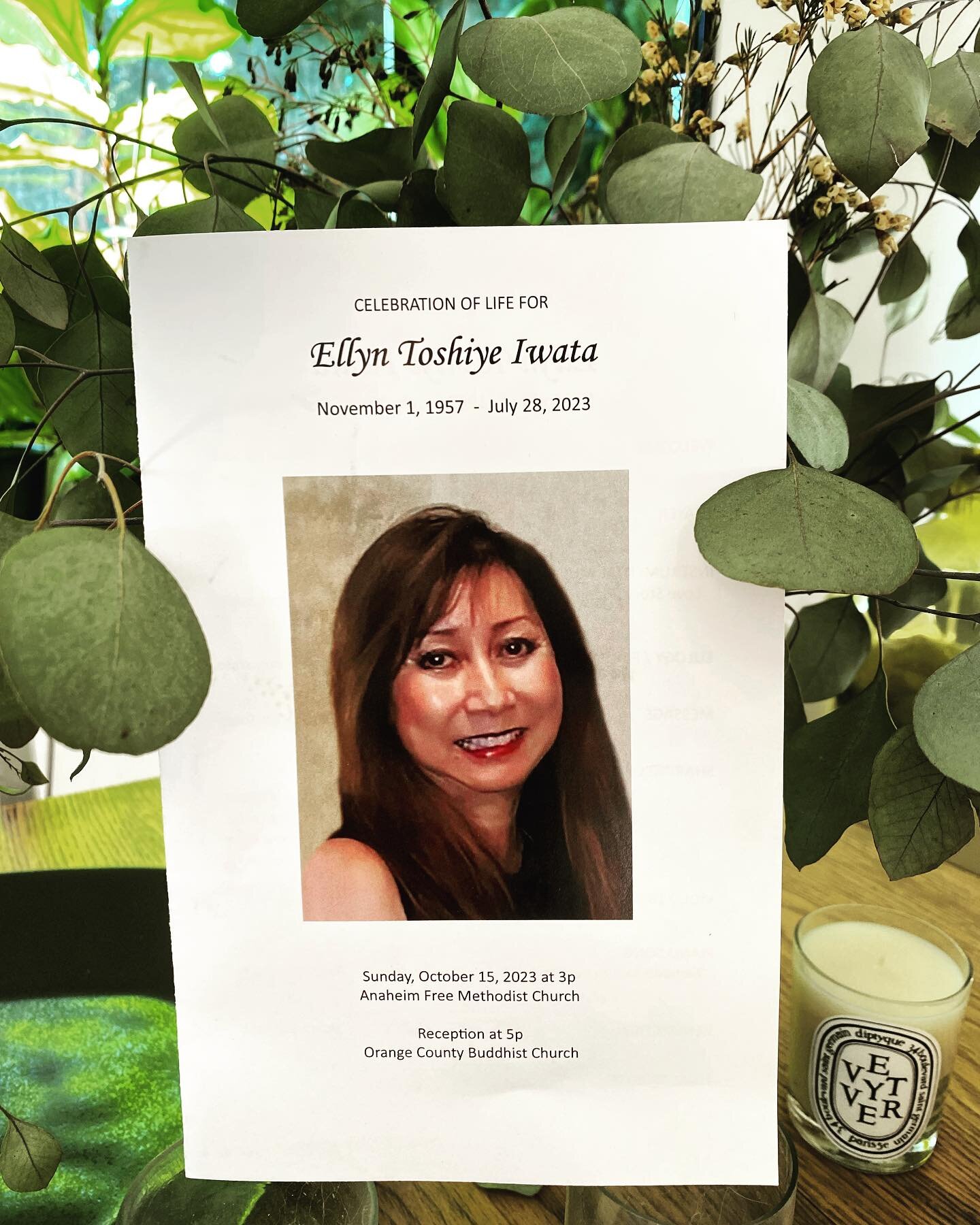 Celebration of Life
Ellyn Toshiye Iwata
Nov 1, 1957- July 28, 2023

My cousin, Ellyn lost her battle with cancer within days of being diagnosed. The news was devastating, lives were forever changed.  Her family and friends met yesterday to celebrate 