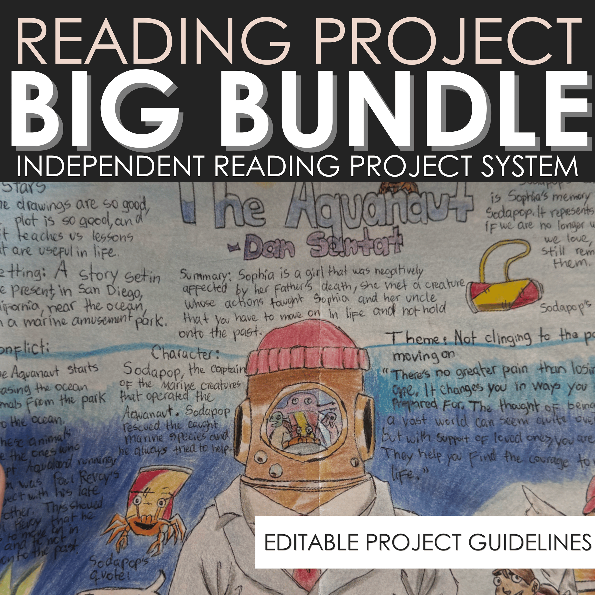 Reading Project Bundle | Book Projects | Middle & High School