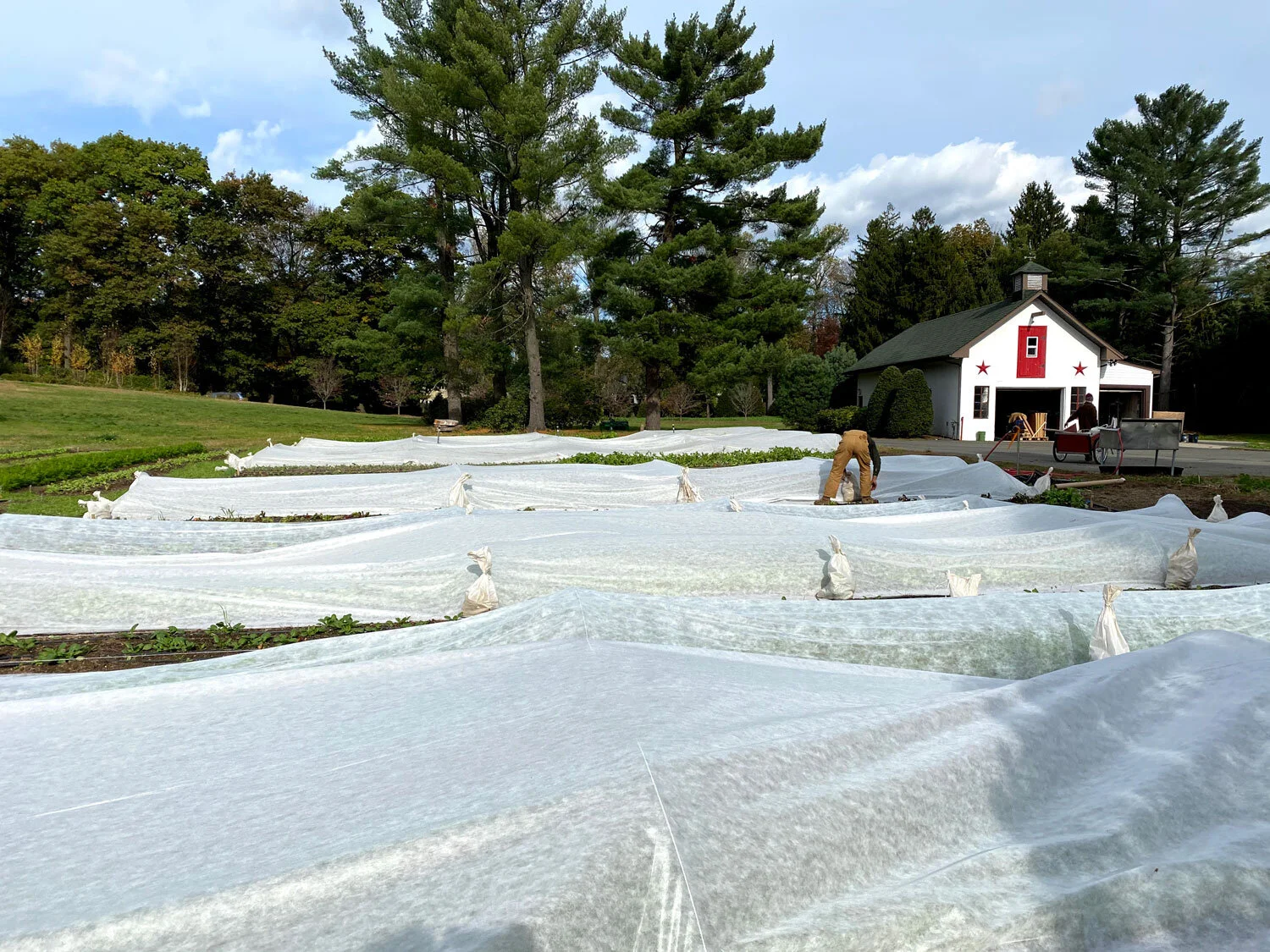 The Farmers Organic Farming — Closter Farm