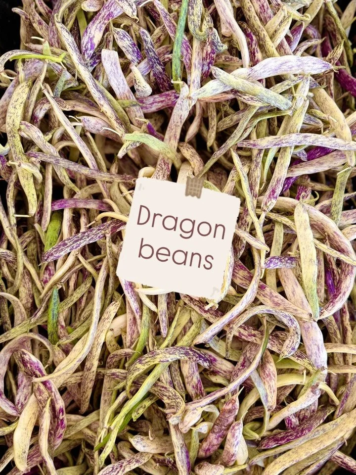 Produce spotlight: DRAGON BEANS! 

This unique heirloom bean variety isn&rsquo;t widely known in mainstream grocery stores, so let&rsquo;s give it a little spotlight, shall we? Dragon beans are a hidden gem we wanted to introduce to all of you, in ca