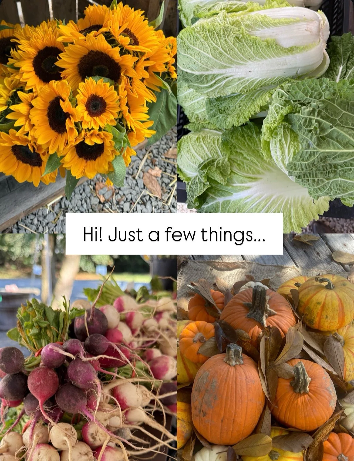 Halfway through this became a post about what&rsquo;s going out of season soon. Out with the old, in with the new! Lots of exciting fall things are on their way!

#closterfarm #supportyourlocalfarmer #realorganic #bergencountynj #local #localfood #lo