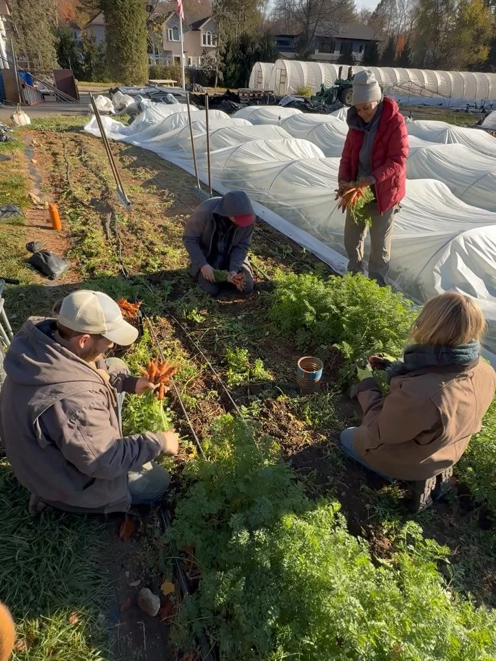 Hello farm friends! A few things&hellip;

We have FRESH BEEF available through Sunday. This is the last fresh beef until next year.

TODAY is the last day to pre-order your Thanksgiving turkey. You can order in person at market or on our website at w
