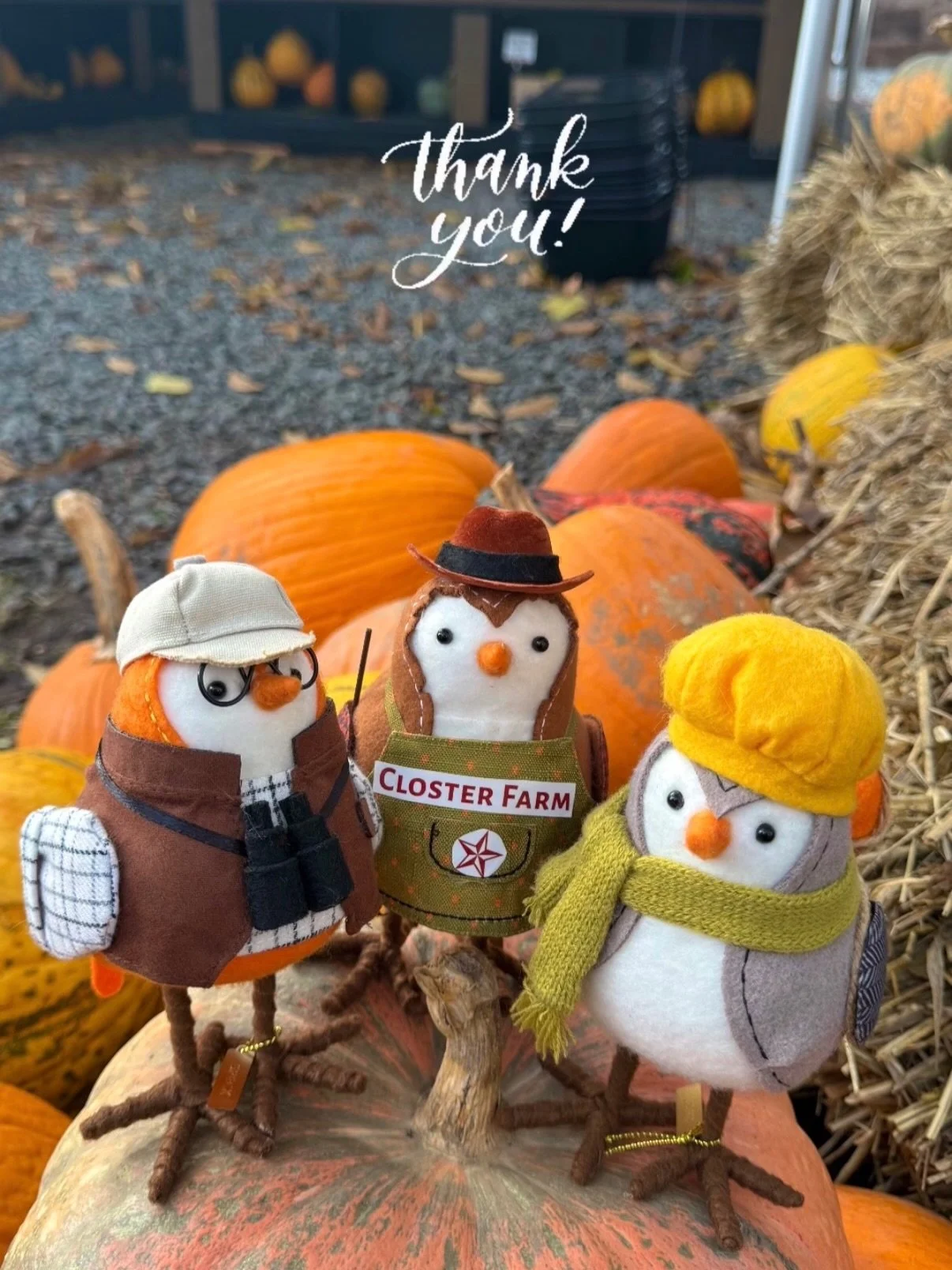 That&rsquo;s a wrap for the season! 

We&rsquo;re taking a short break to rest, stretch our tired (but so very strong!) legs, eat well, glance through seed catalogs, talk about crop rotation, and do all the things farmers do during Thanksgiving. 

We