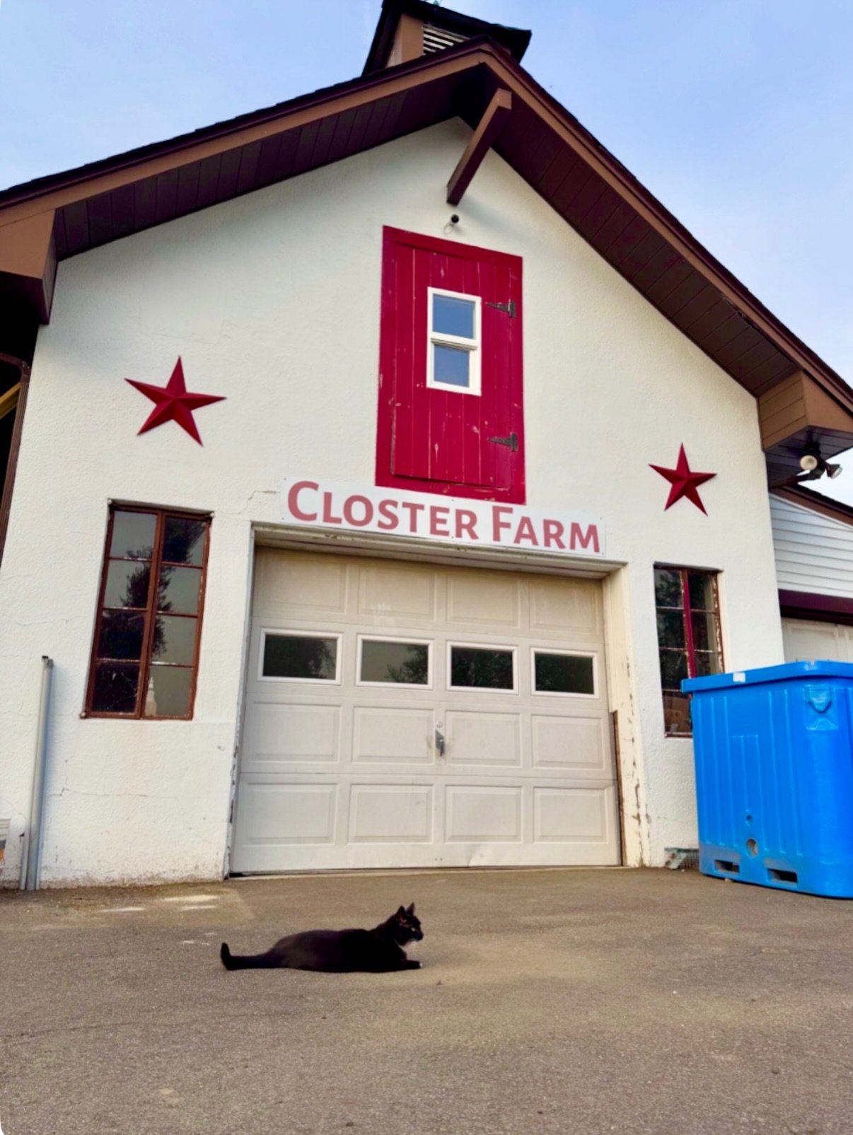 It&rsquo;s no surprise to anyone that farming is physical work and can be exhausting. If we humans ever discuss it, the furry team members can be seen trying their best to relate.

#closterfarm #supportyourlocalfarmer #njlocal #realorganic #bergencou