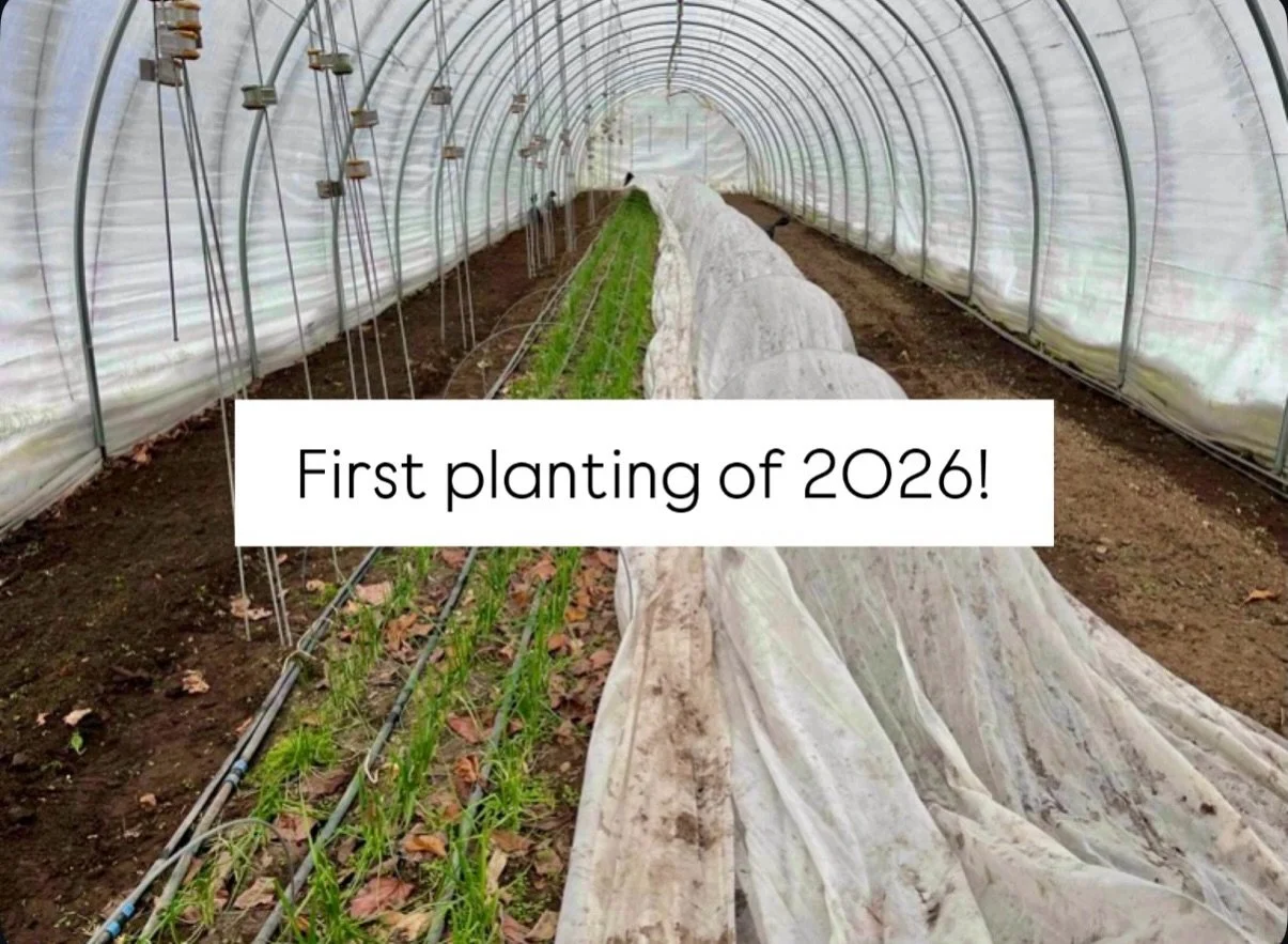If you&rsquo;re signed up for our weekly newsletter, you already know that the first crop of 2026 - our seventh season - is on its way! Carly and Drew have prepped two beds for some lovely spring carrots, and moving forward, we&rsquo;ll be seeding pr