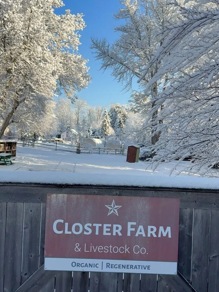 Another snow day appreciation post❄️ Yes, snow adds extra work that wouldn&rsquo;t be on the to-do list otherwise. And freezing temperatures aren&rsquo;t exactly ideal for working outside either.

But is a snowy morning at the farm a beautiful sight 