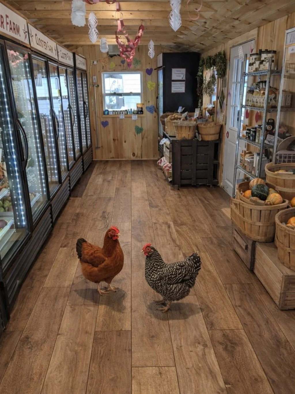 Our market store is getting a brand new floor tomorrow! This means we&rsquo;ll be closing at 12pm to make sure everything is ready by Friday. Apologies for any inconvenience. The new floor will be so beautiful it&rsquo;ll floor everyone. Please share