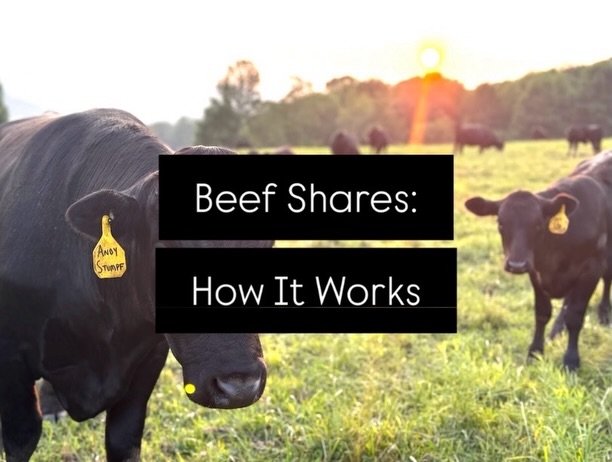 Hello farm friends! Our beef shares are available again! Secure your supply of premium, locally raised beef and stock your freezer for months ahead.

See you at market!

#closterfarm #njfarm #regenerativefarming #farmtotable #bergencounty