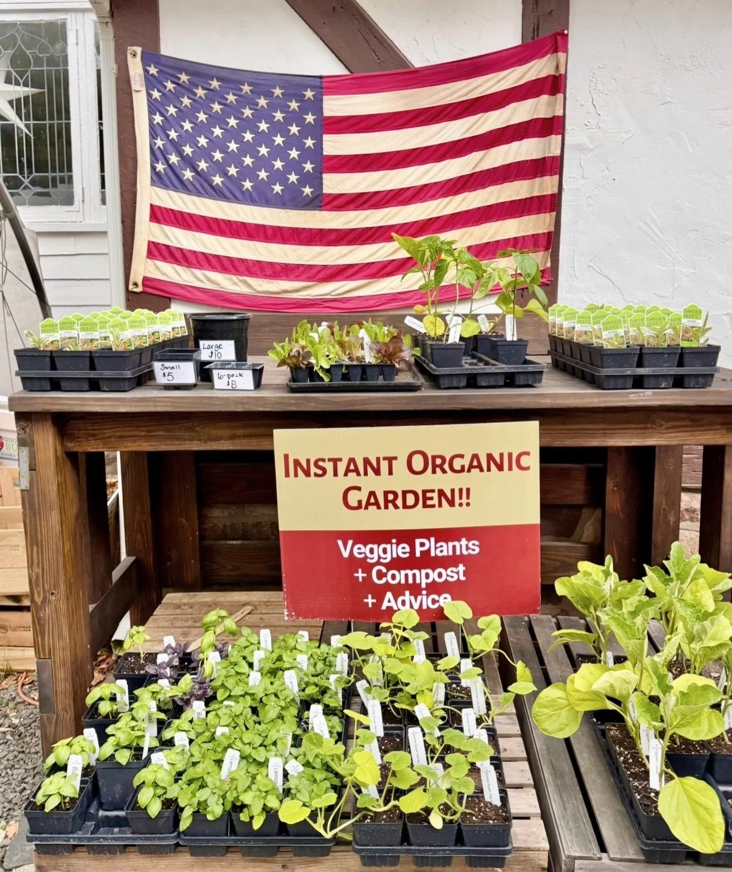 Last FIVE days of SPRING PLANT SALE!🌱

If growing your own vegetables this summer is something you&rsquo;d like to do, you can get off to a good start with our organic baby plants. Our annual Spring Plant Sale is live on our website at www.closterfa