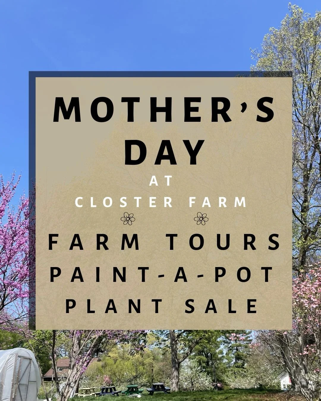 Aaaand we&rsquo;re back with some fun activities! So many - one more time for emphasis: so many! - of you have asked about farm tours. We heard you and now is your chance to walk through the farm with us.

Join us on Mother&rsquo;s Day for a guided t