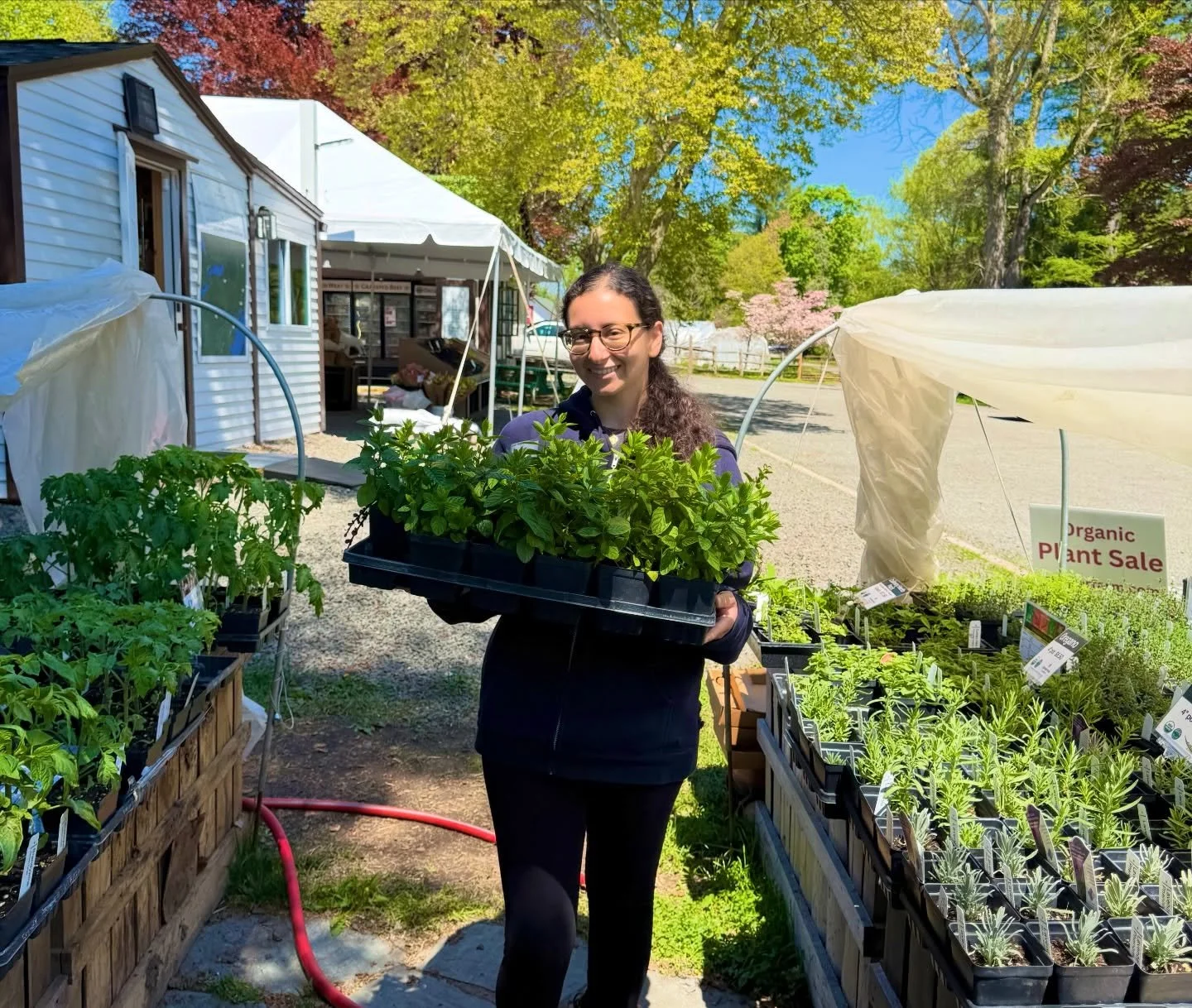 A reminder that our plant sale is ON! Come pick up your preorders and browse additional plants while you&rsquo;re here.

Organically grown vegetables, herbs, and flowers - nurtured by us right here at the farm.

#closterfarm #njfarm #regenerativefarm