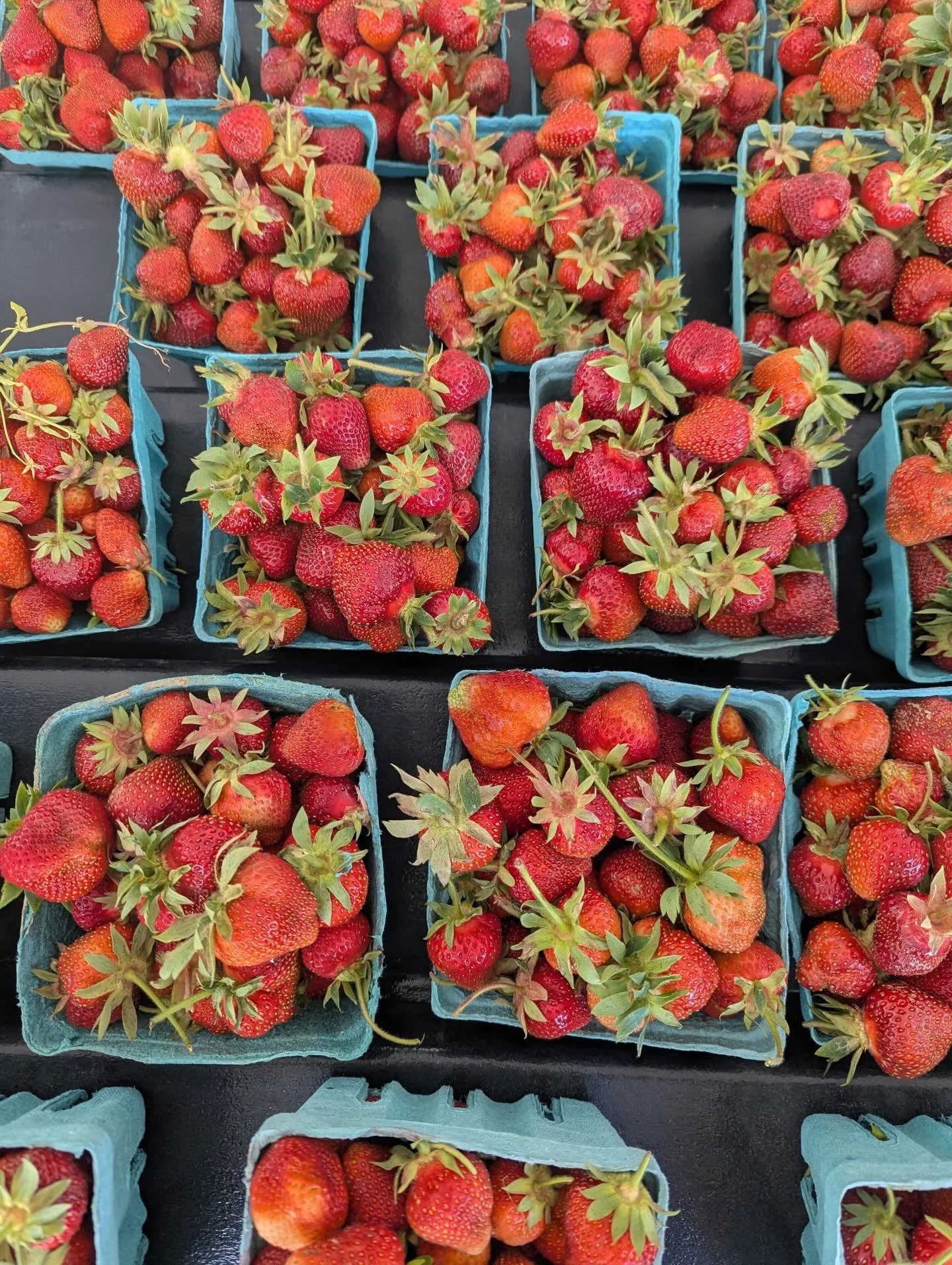 They came in later this year than we hoped. But now that strawberries have begun, it really feels like the season is getting going.
#berries #fresh #farmersmarket #local