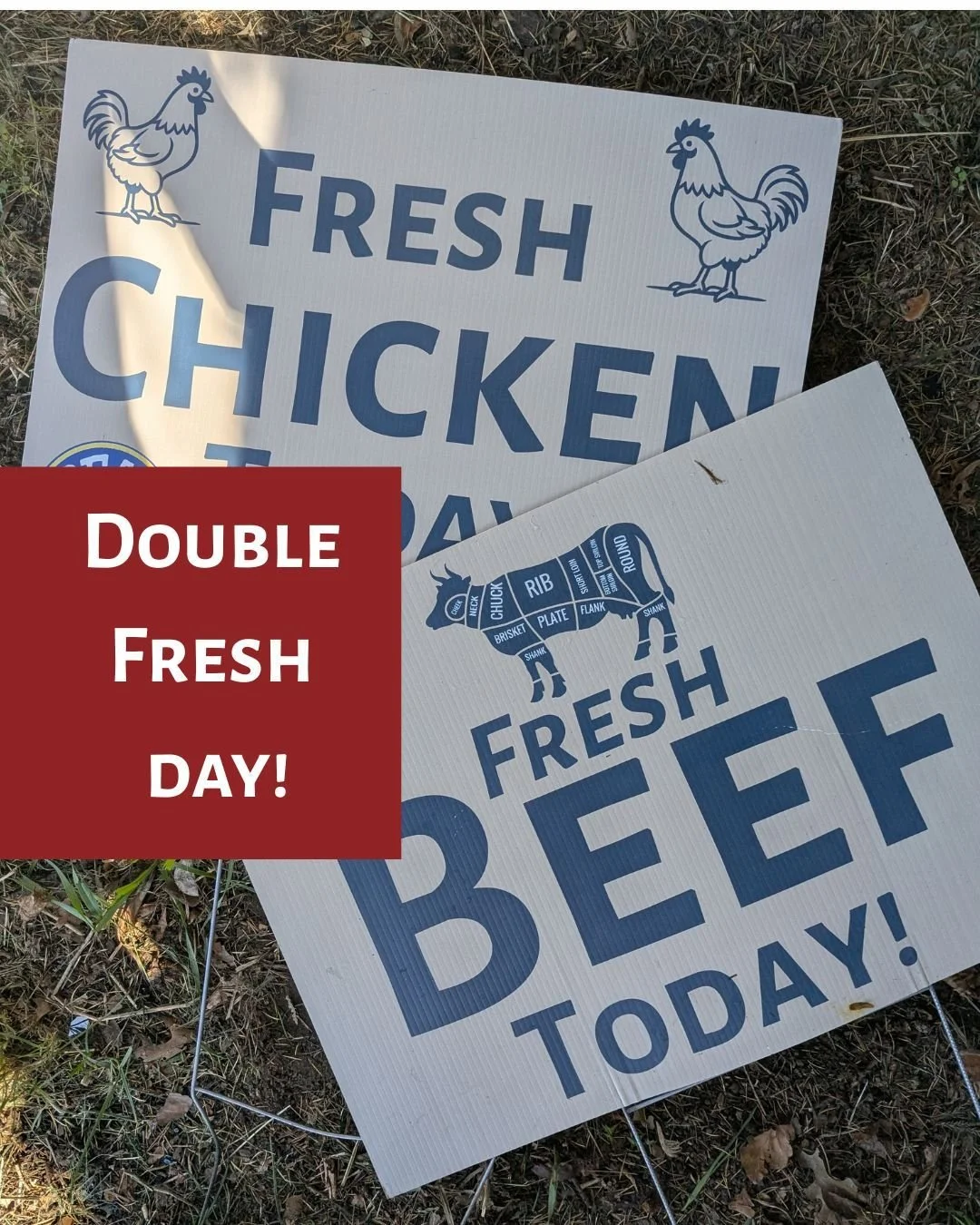There's no question what's on the meal plan for this week's dinners: chicken and beef!

This week we've got a double delivery of fresh meat! Fresh chicken and beef arriving today and available fresh until Sunday.

We will post on our Stories when eac