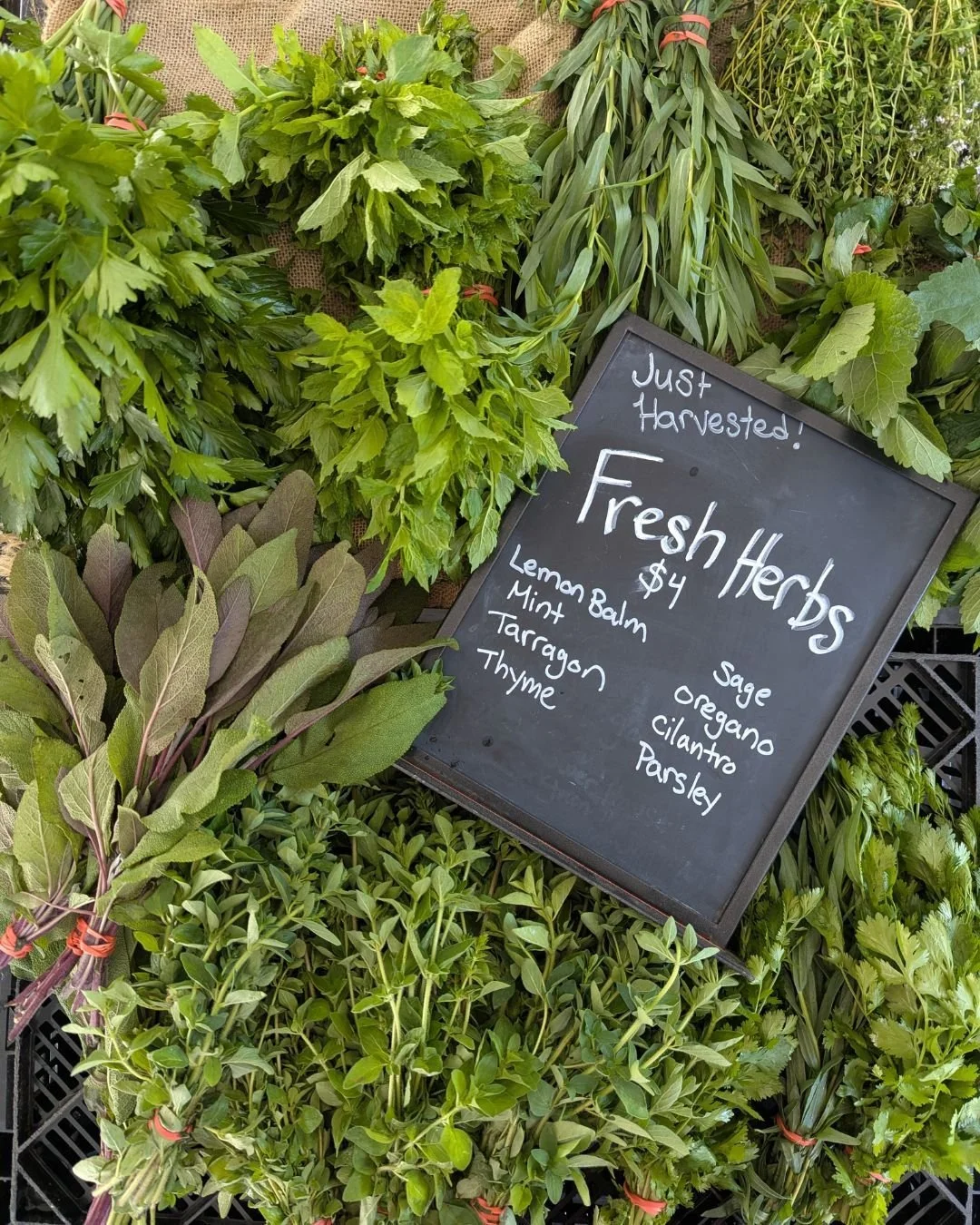 We think herbs are just DIVINE and wayyy under appreciated. Aromatic! Crunchy! Flavorful! Tender! Bold! What isn't to like?

Make an outstanding and fresh lunch or dinner this week with a herb salad:
-3-4 bunches of different types of herb, any will 