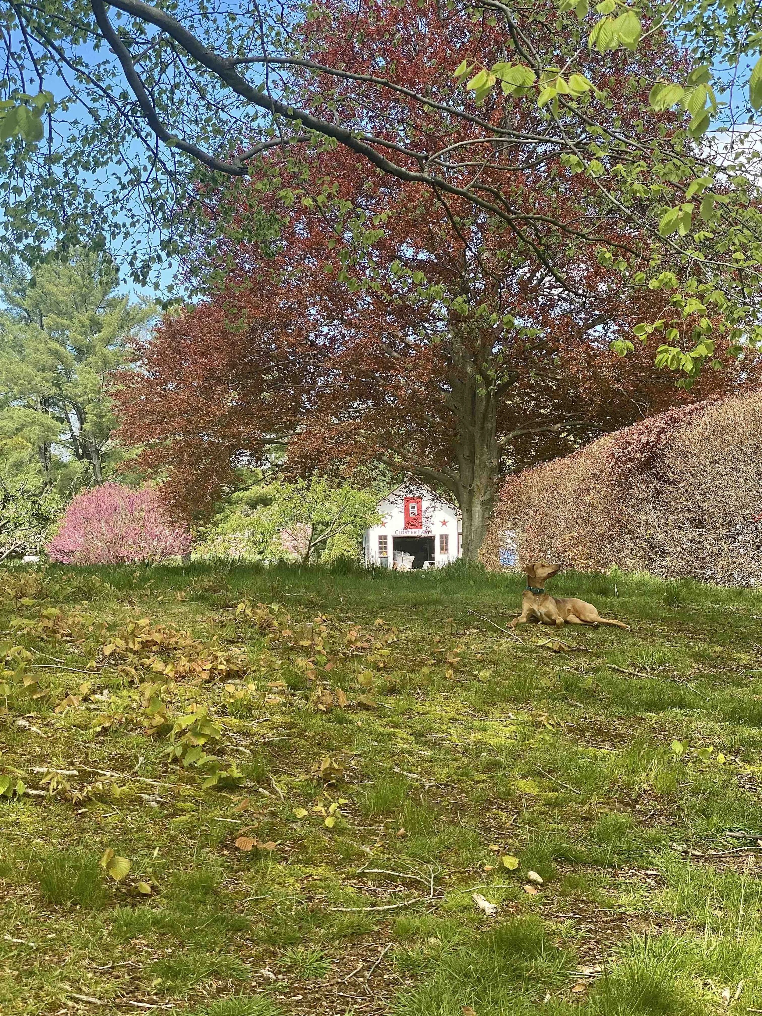 Organic Farming in Northern Valley