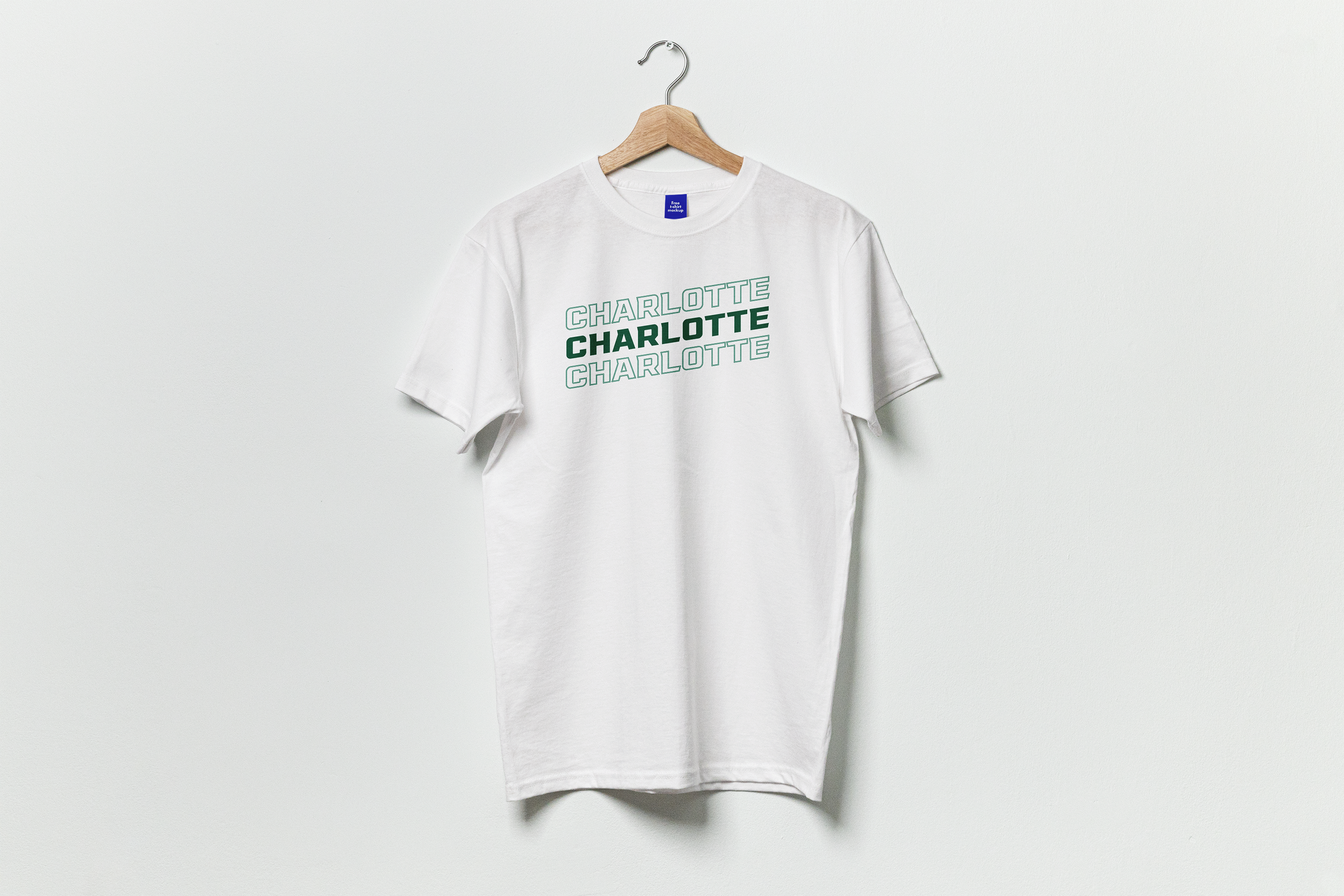 T-Shirt design for UNC Charlotte's biannual Registration Week.