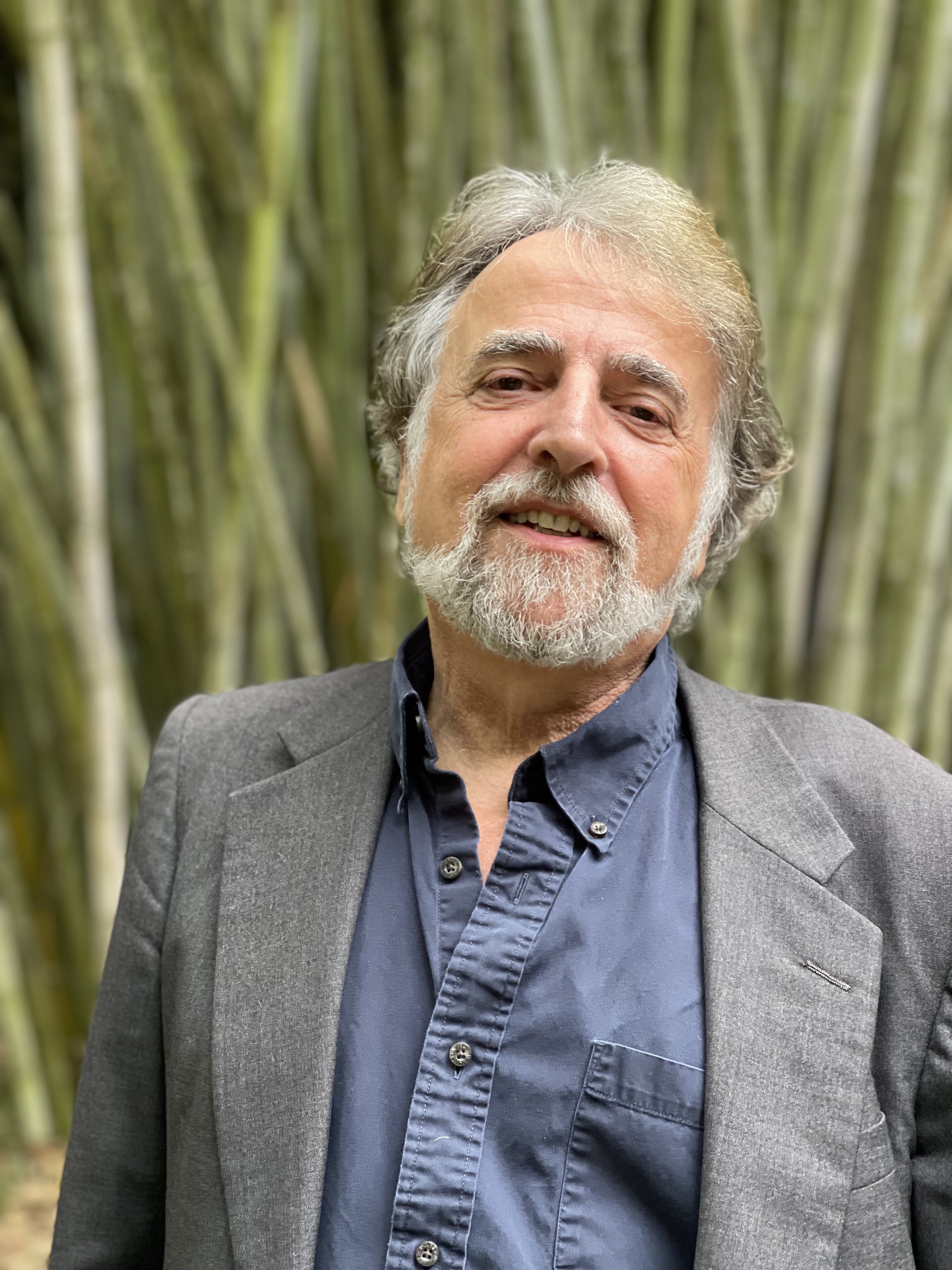 Mark Ari