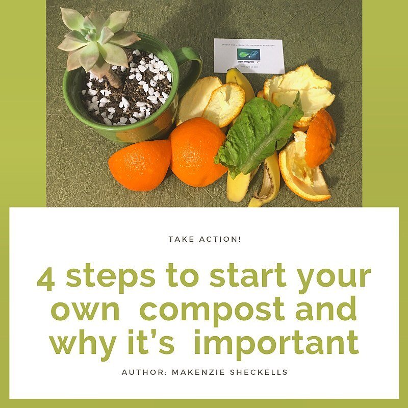 4 steps to start your own  compost and why it&rsquo;s  important  Author: Makenzie Sheckells #compost #takeaction #infinitegreenenergysource #iges https://www.iges-us.com/compost