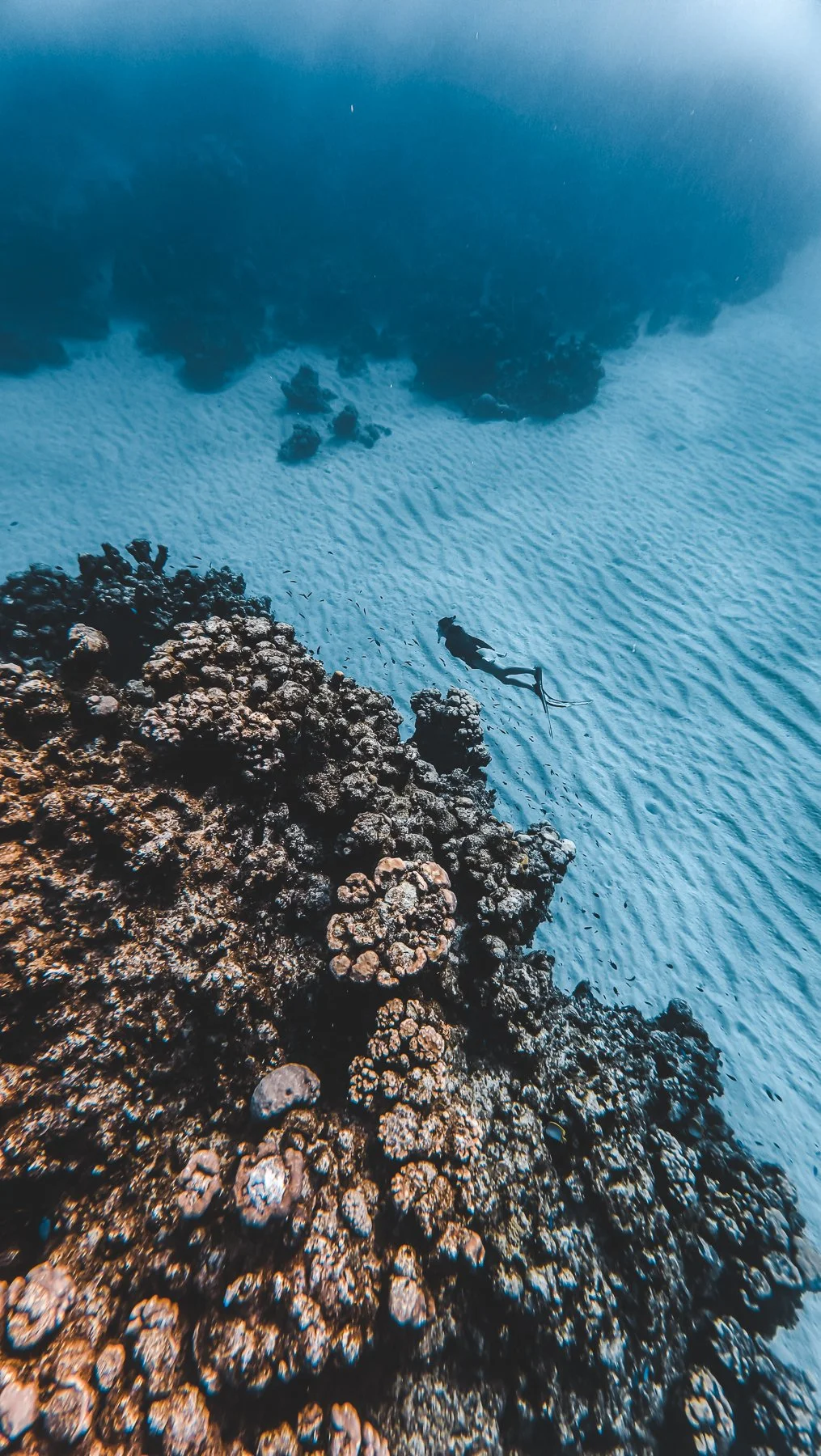 DJI_20250323163932_0045_D.jpg