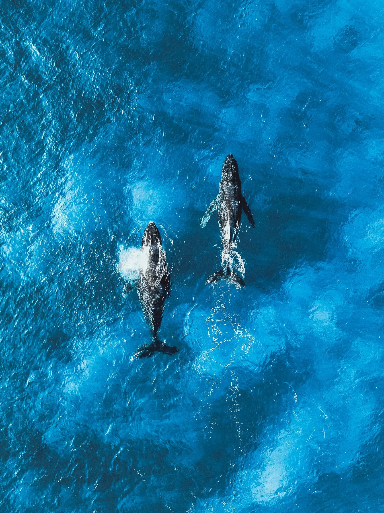 DJI_0567.jpg