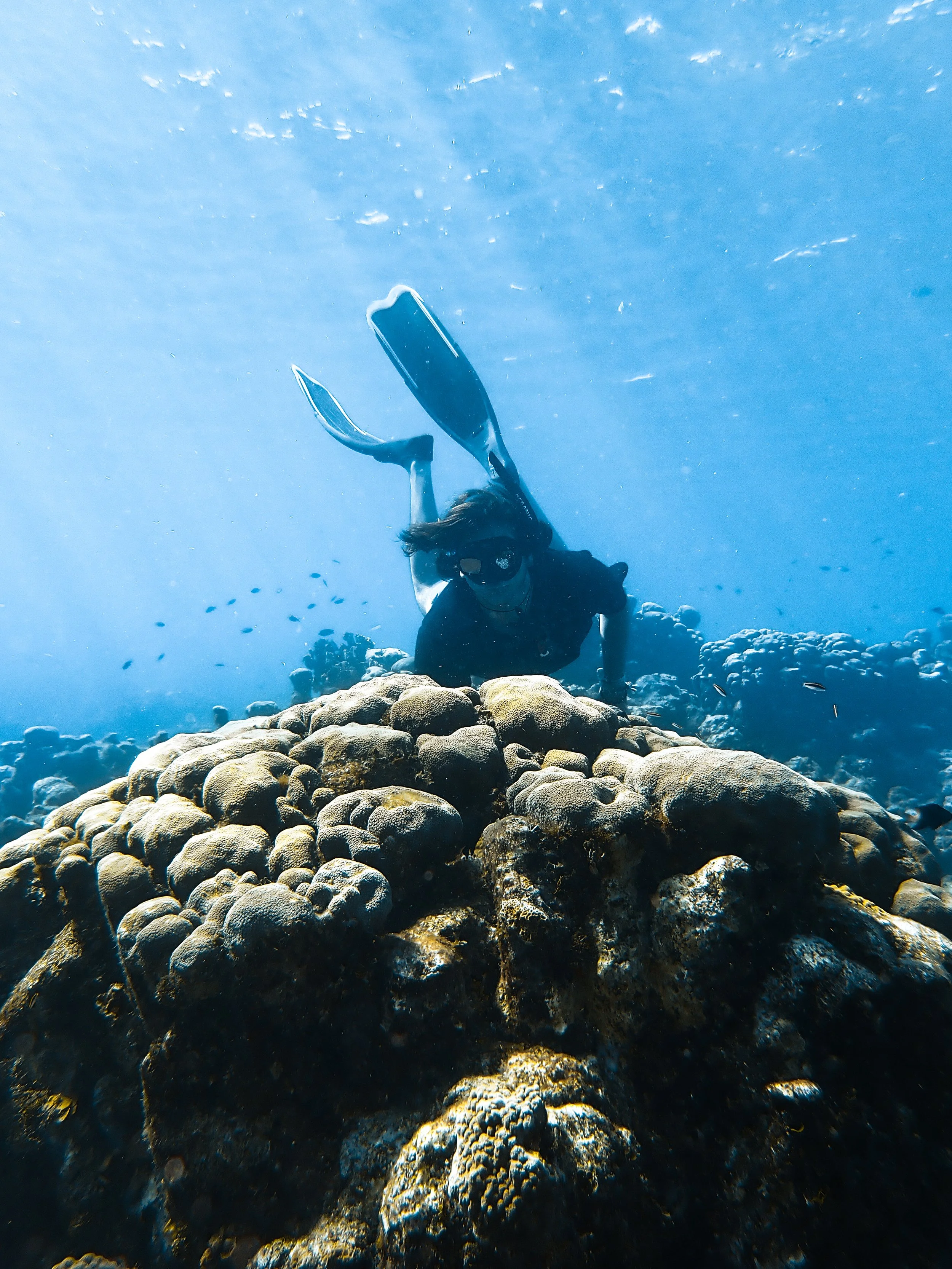 OUR STORY — Nauti Nomads