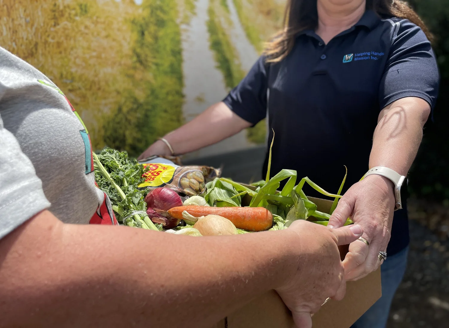 About Us — Helping Hands