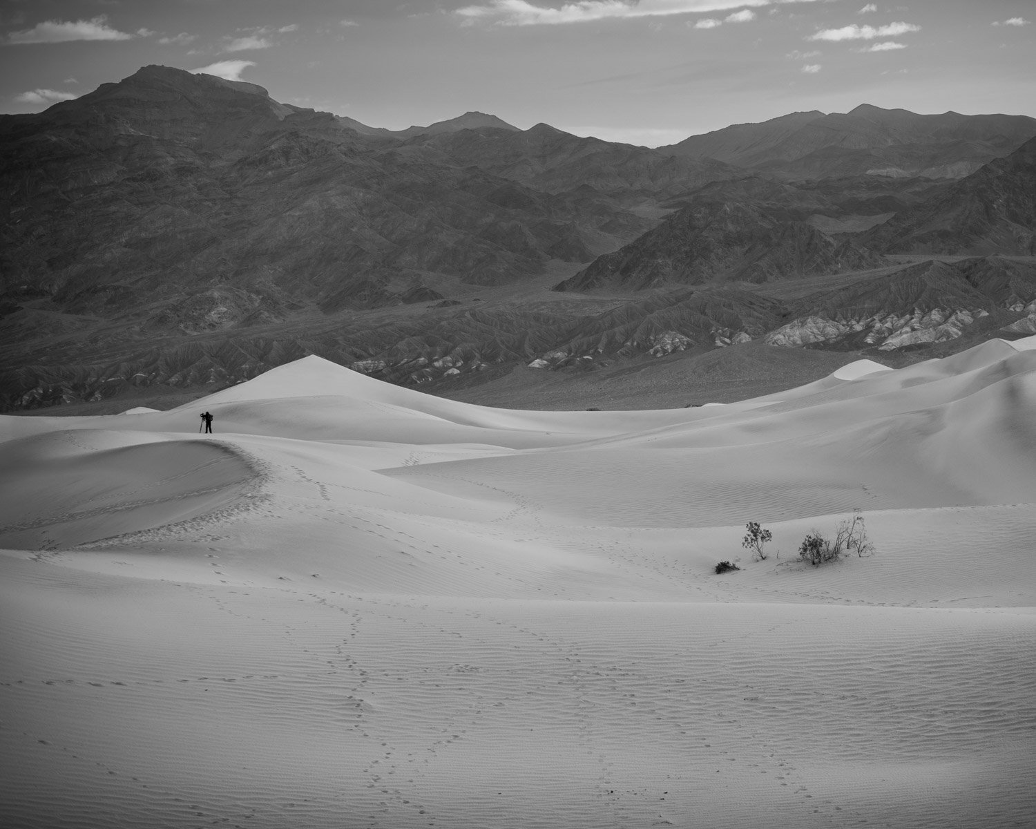 Landscape Prints-4.JPG